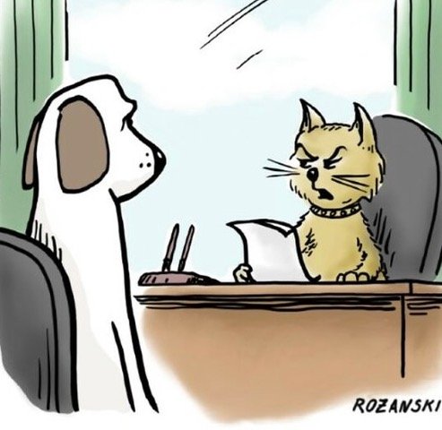 482CL01-Experience-Doing-Nothing-67e9f7df3257c__605 2.jpeg