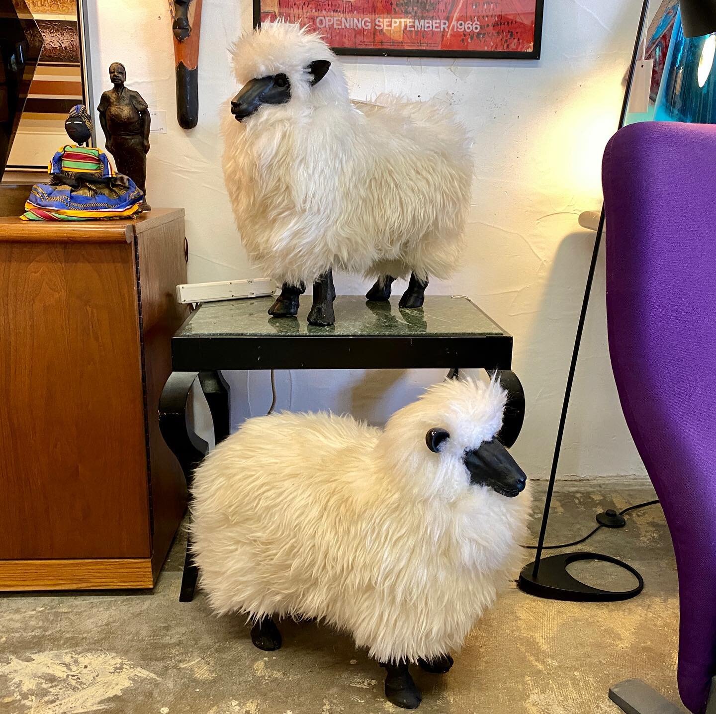 Pair Lalanne Style Sheep $3750 please call 760-770-5333 if any interest #lalanne #lalannesheep #sheepsculpture #perezartdistrict #spacespalmsprings #palmspringsmodern