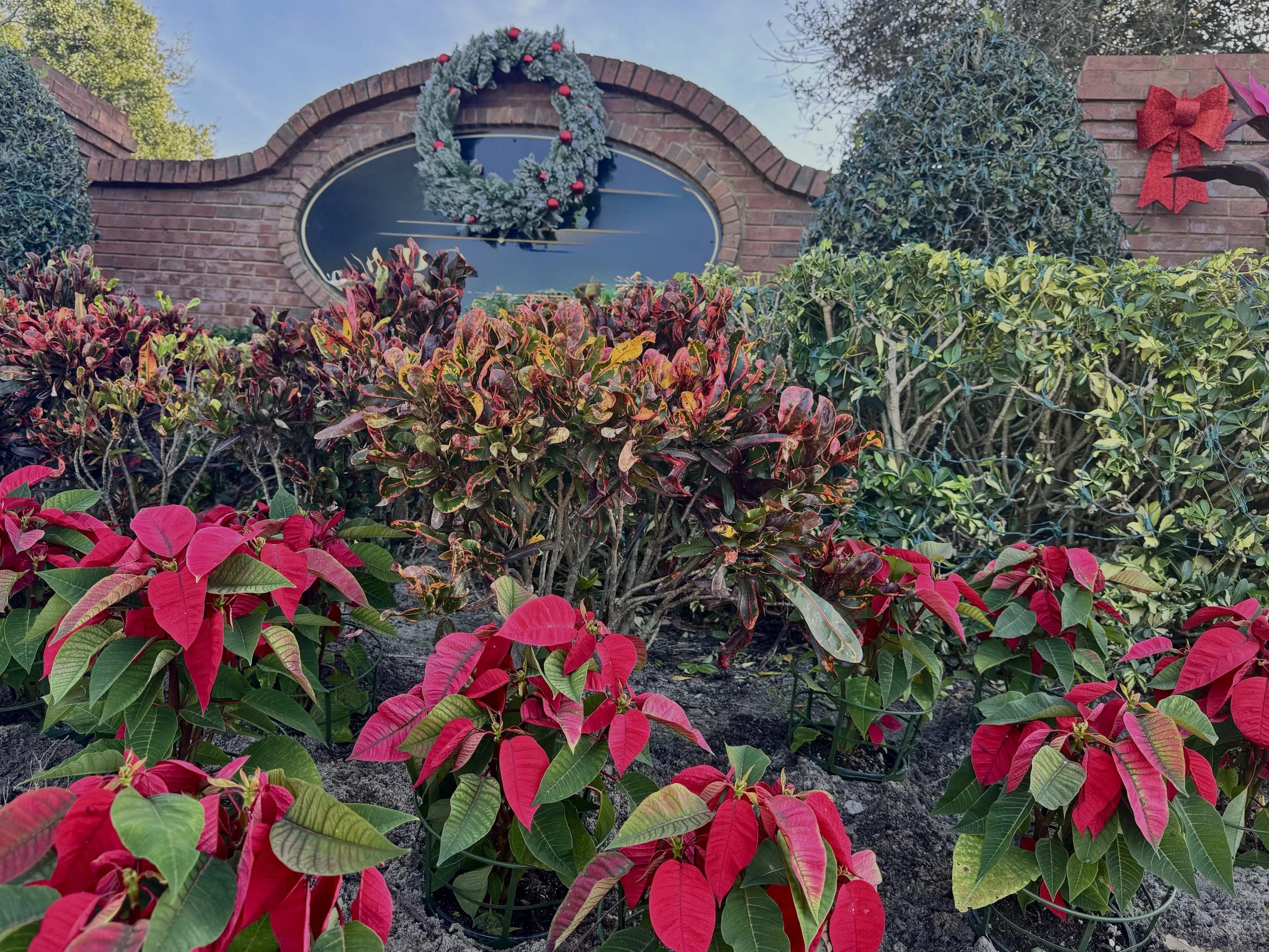 Winter is for rest- but it doesn't have to be. 