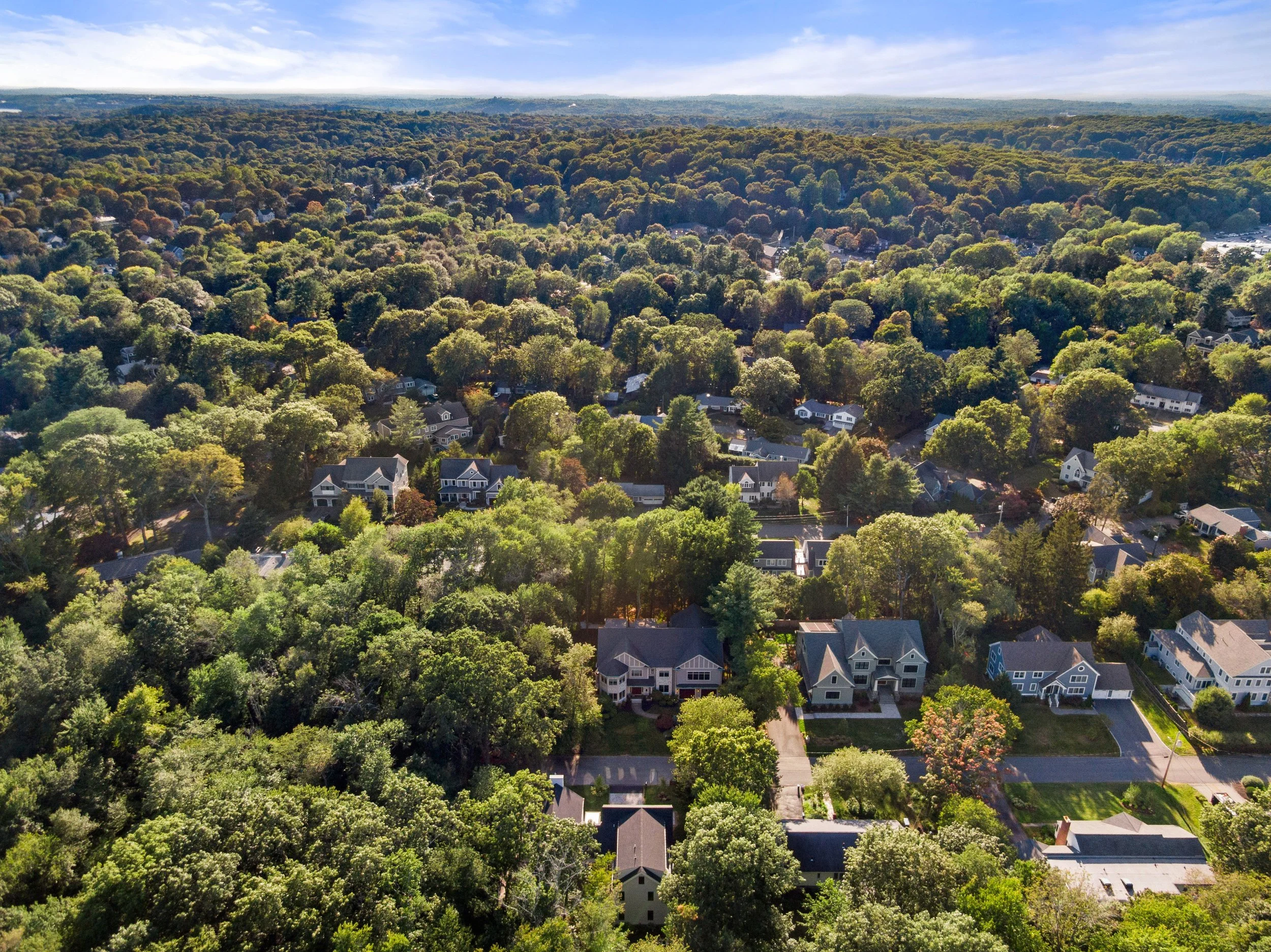 DJI_0296.jpg