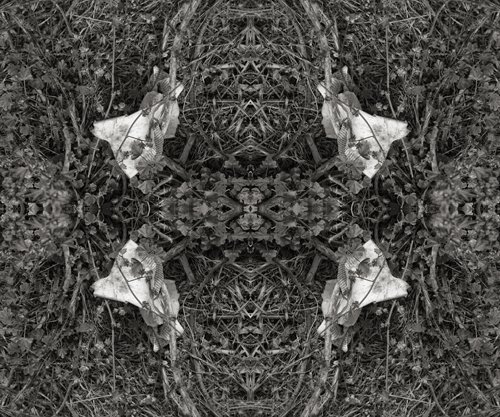 Twisted Script