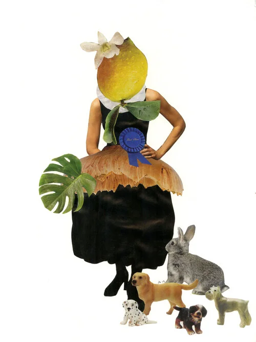 Lemon Head (8x10)