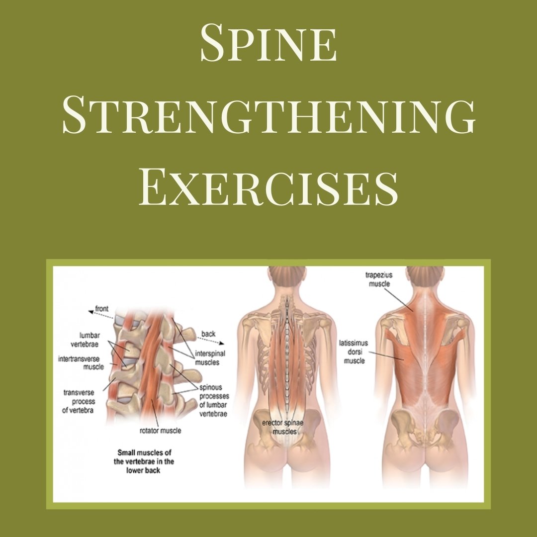 As a chiropractor, my focus is helping you live a healthier &amp; more fulfilled life by addressing misalignments &amp; tension in the spine. Not only does the spine provides support for your entire body, it also is responsible for functional movemen