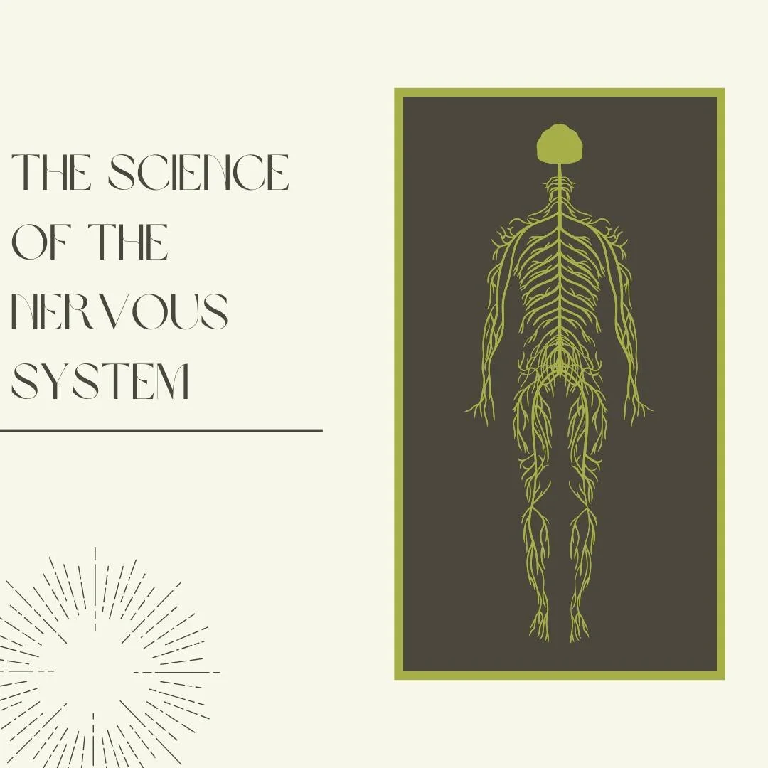You don't have to be a science fanatic to understand the power of the nervous system. It is made top your brain, your spinal cord and every nerve in your entire body. Its job is to receive information, process information and send information out.

I