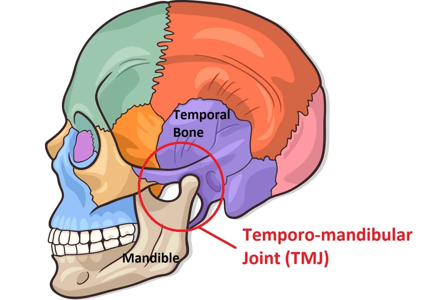 TMJ - The What, the How &amp; the Why
