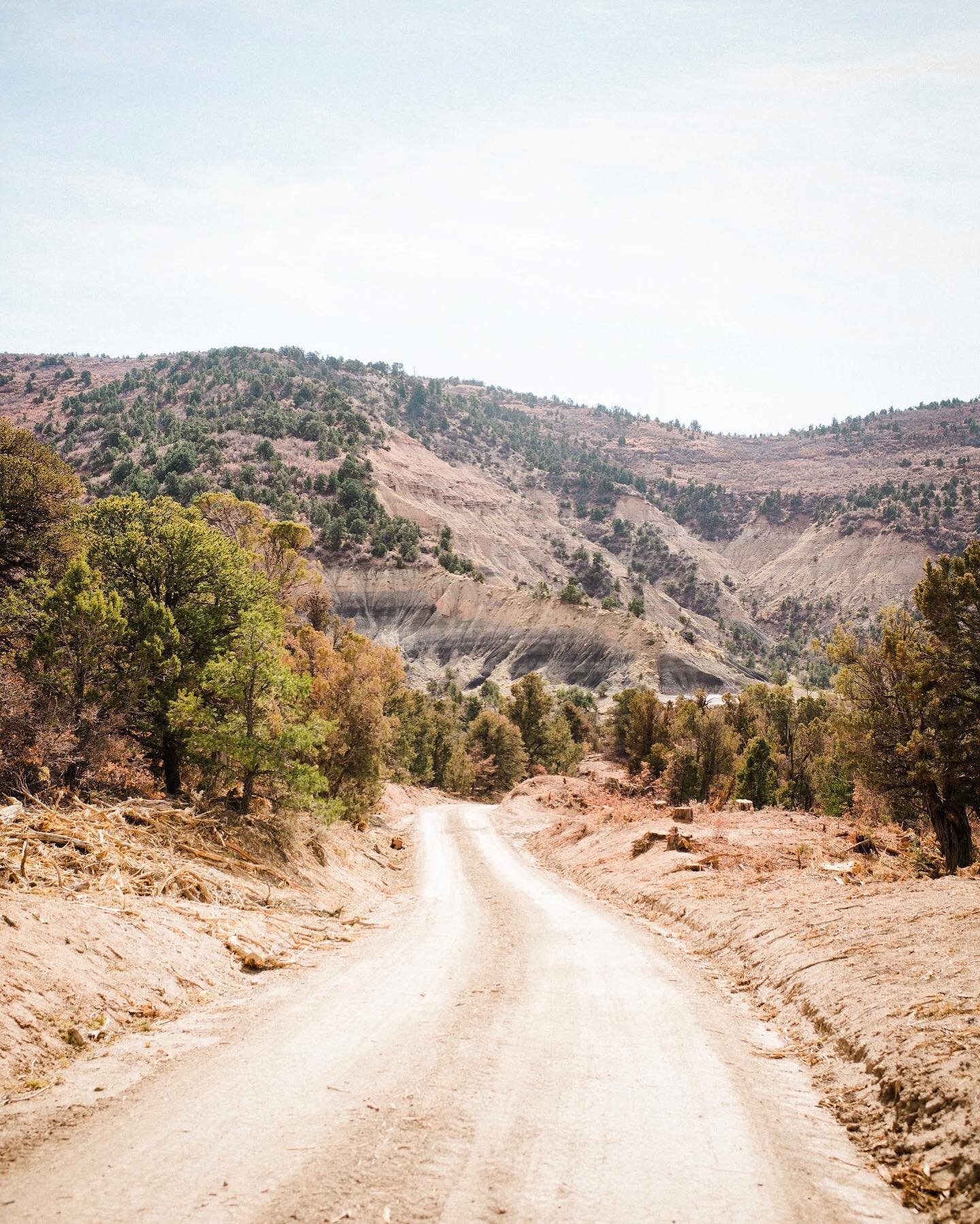 approaching badlands on the South Shale Ridge.
.
.
.
#notbikeable #inmyELEMNT #natureisforeveryone #westernslope #groadslikethese #coloRADo #dropbarsondirt #explorebybike #unlearnpavement #gratefulshred #groad #itsallyours #optoutside #santacruz #jul