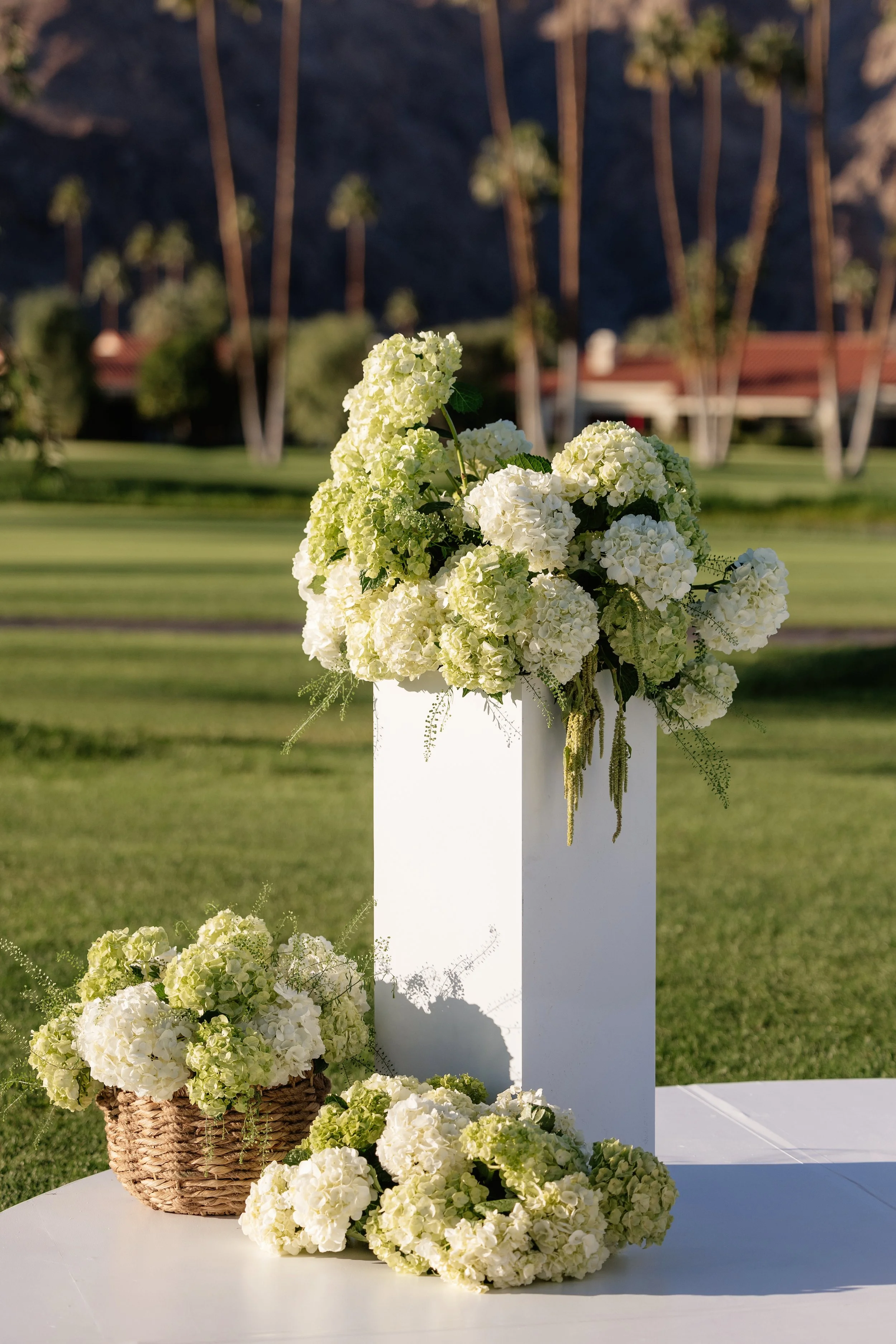 Mitchell+Chase_Wedding-780-Final.jpg