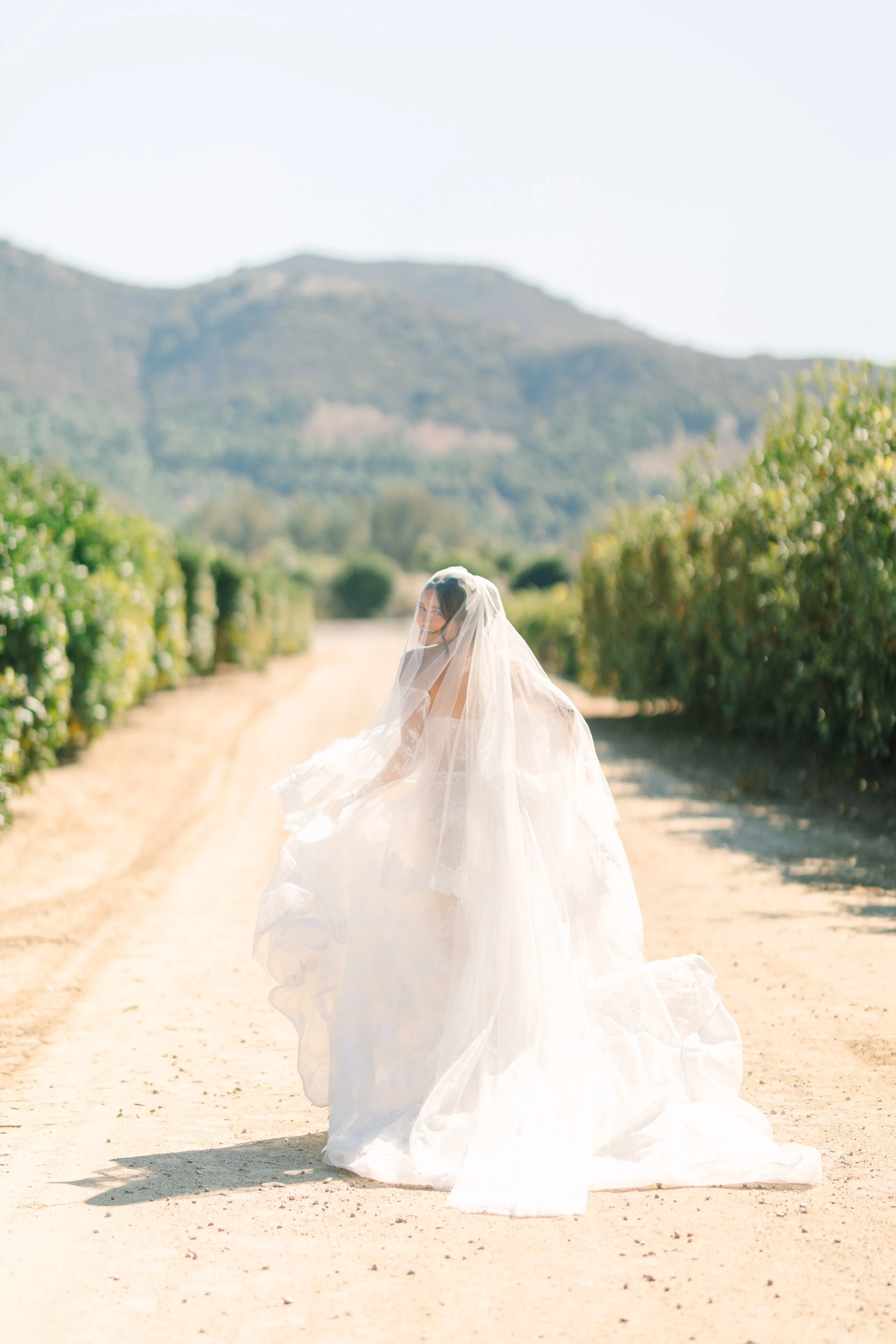Mr&MrsBarbaRanchoGuejitoVineyardSneakPeeks_SherrWeddings-0027.jpg