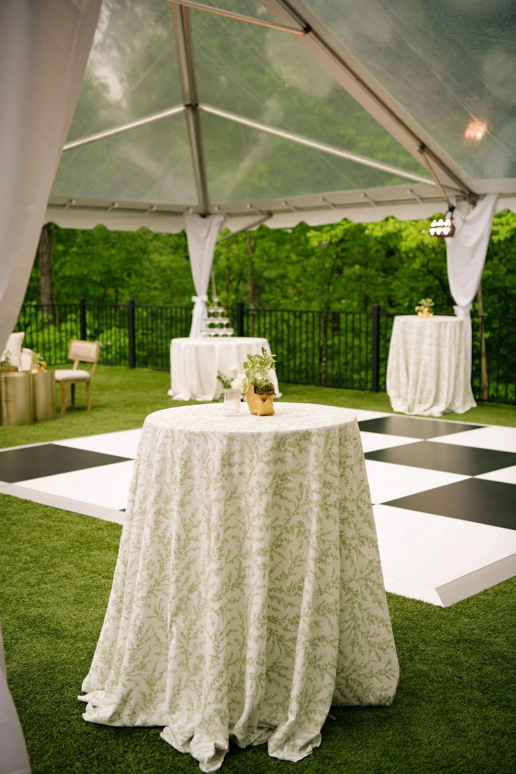 Tezza-06095.JPG