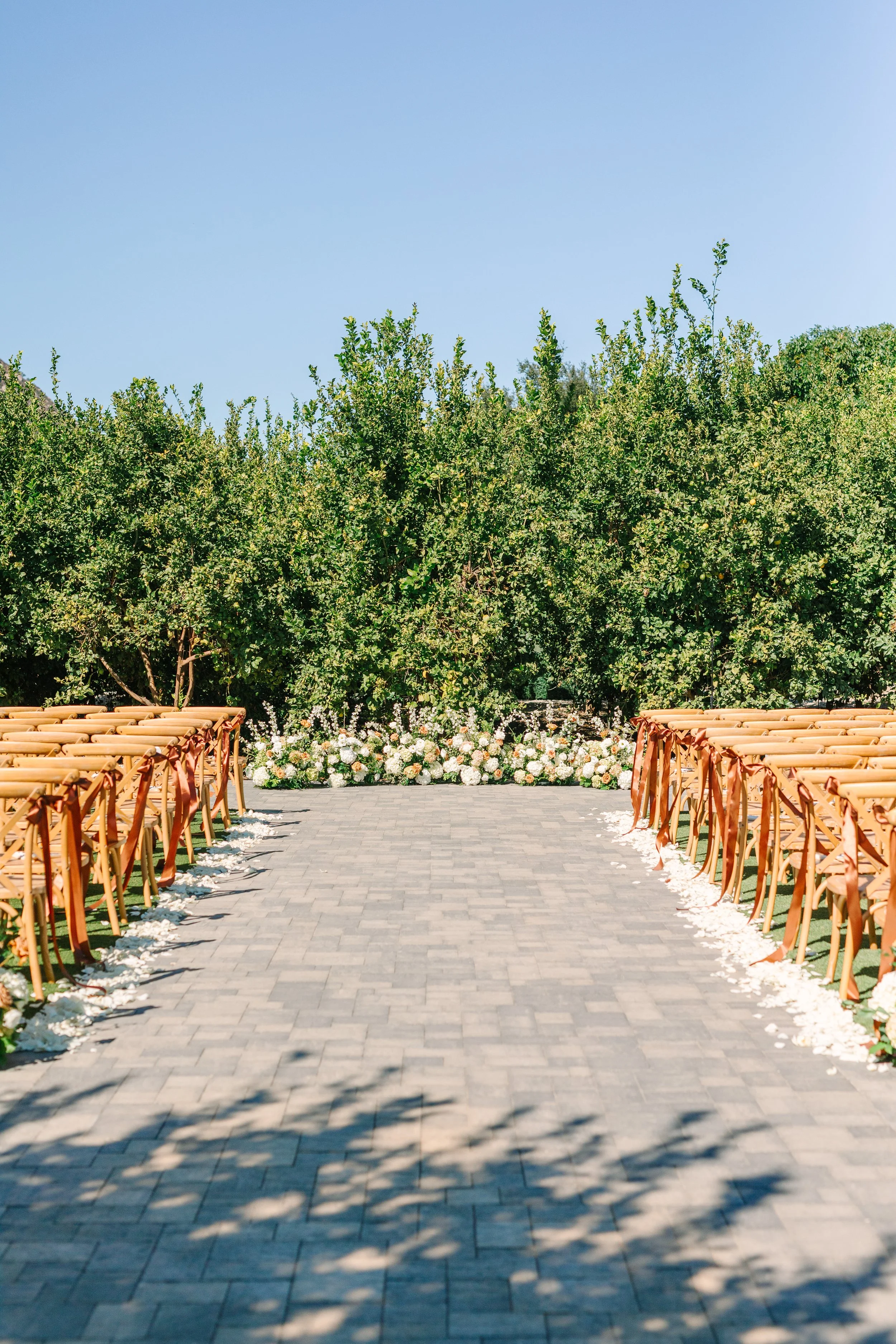 Mr&MrsBarbaRanchoGuejitoVineyardSneakPeeks_SherrWeddings-0029.jpg