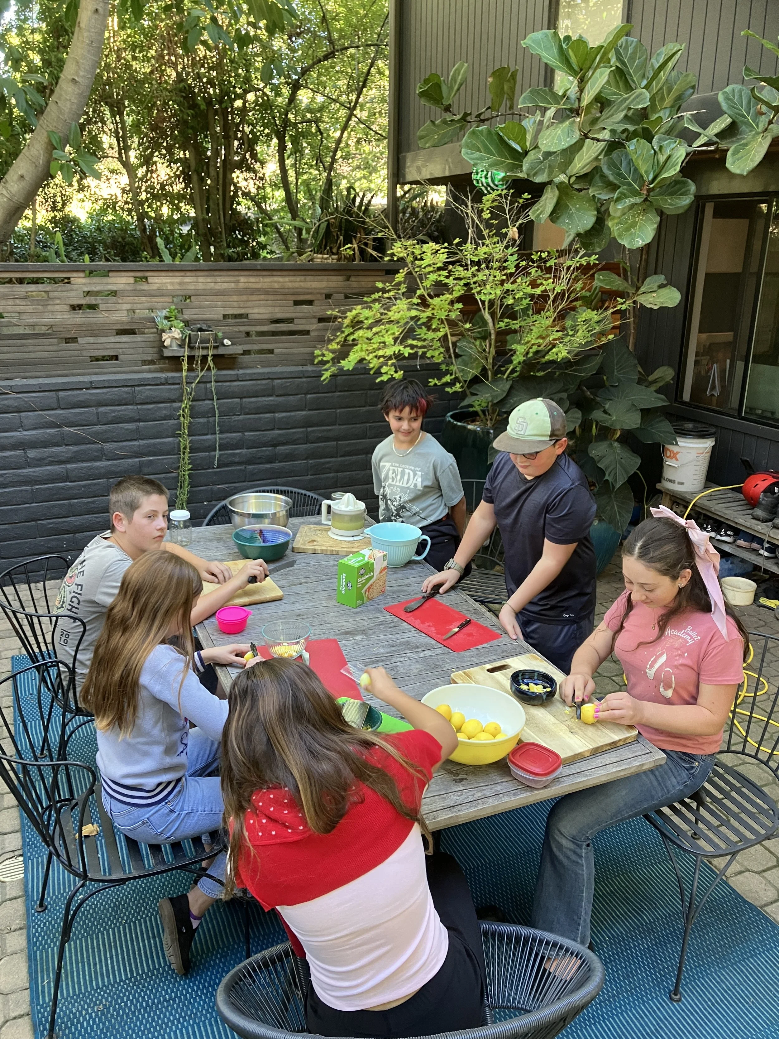 Citrus study culmination -zesting and juicing limes to take home