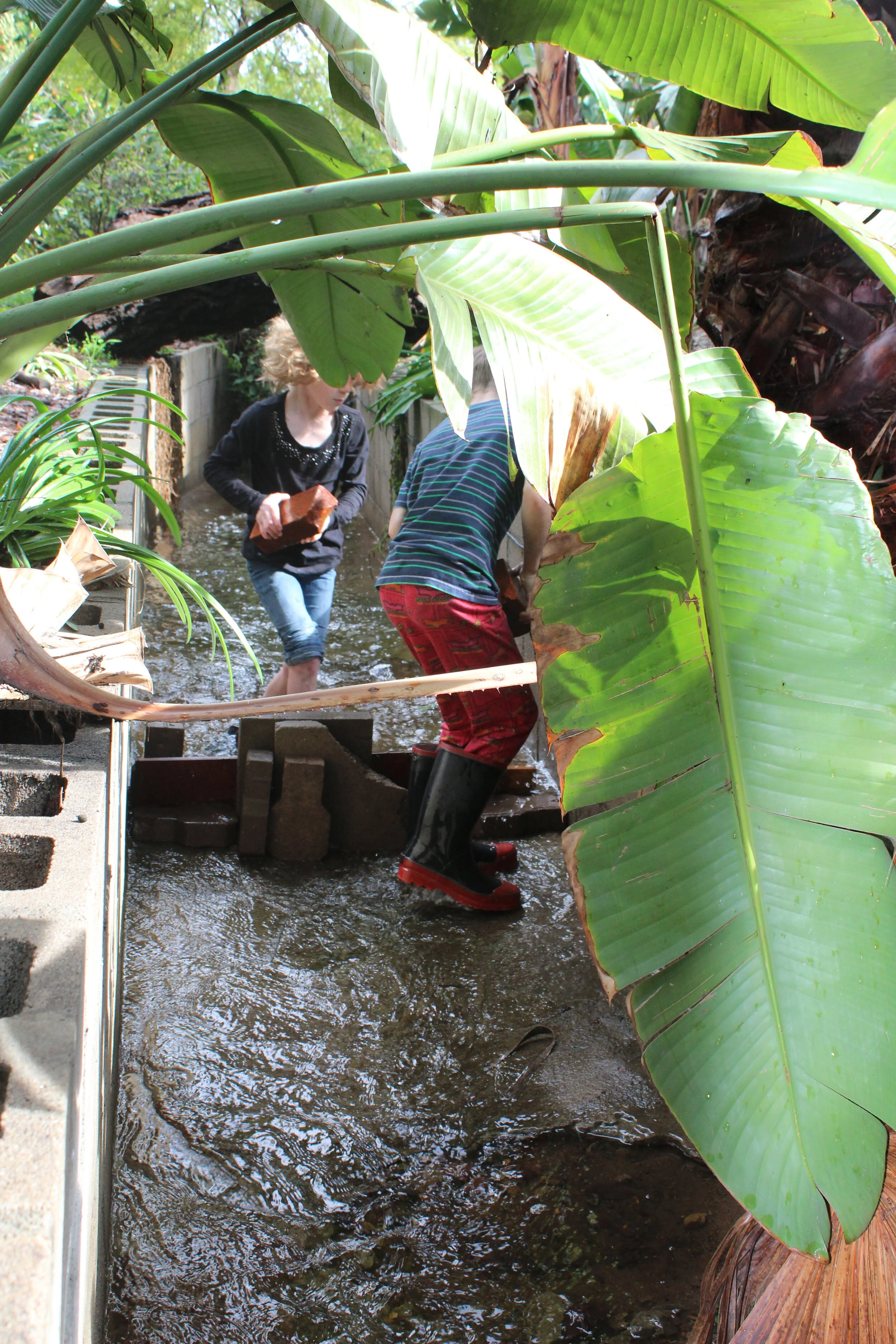 dam building in the creek