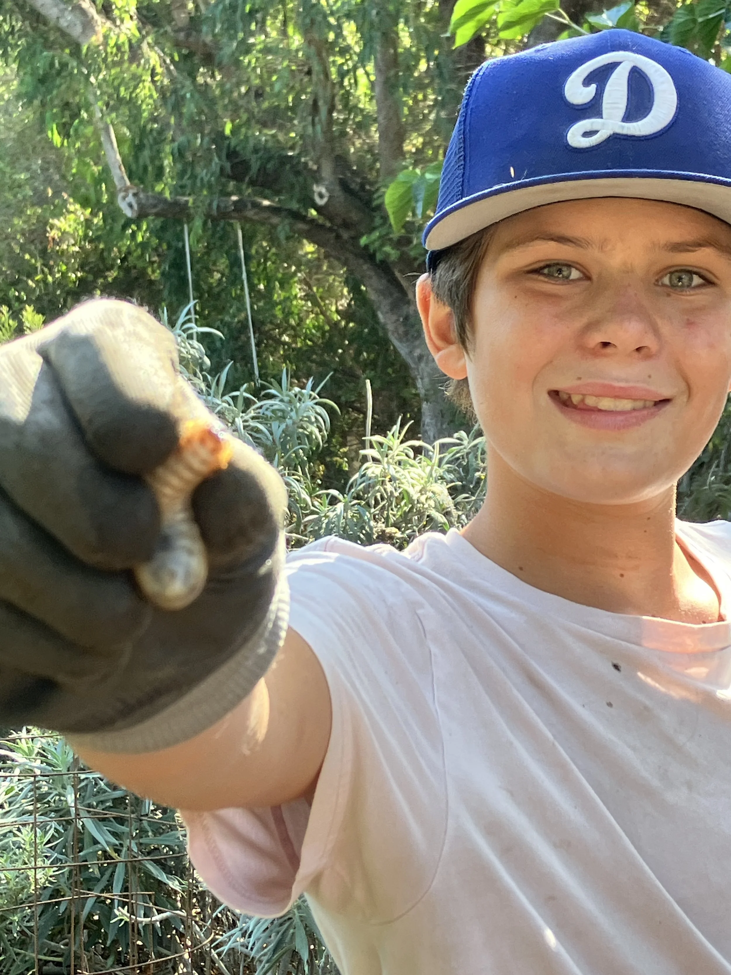 Finding peach beetle grubs to feed the fish