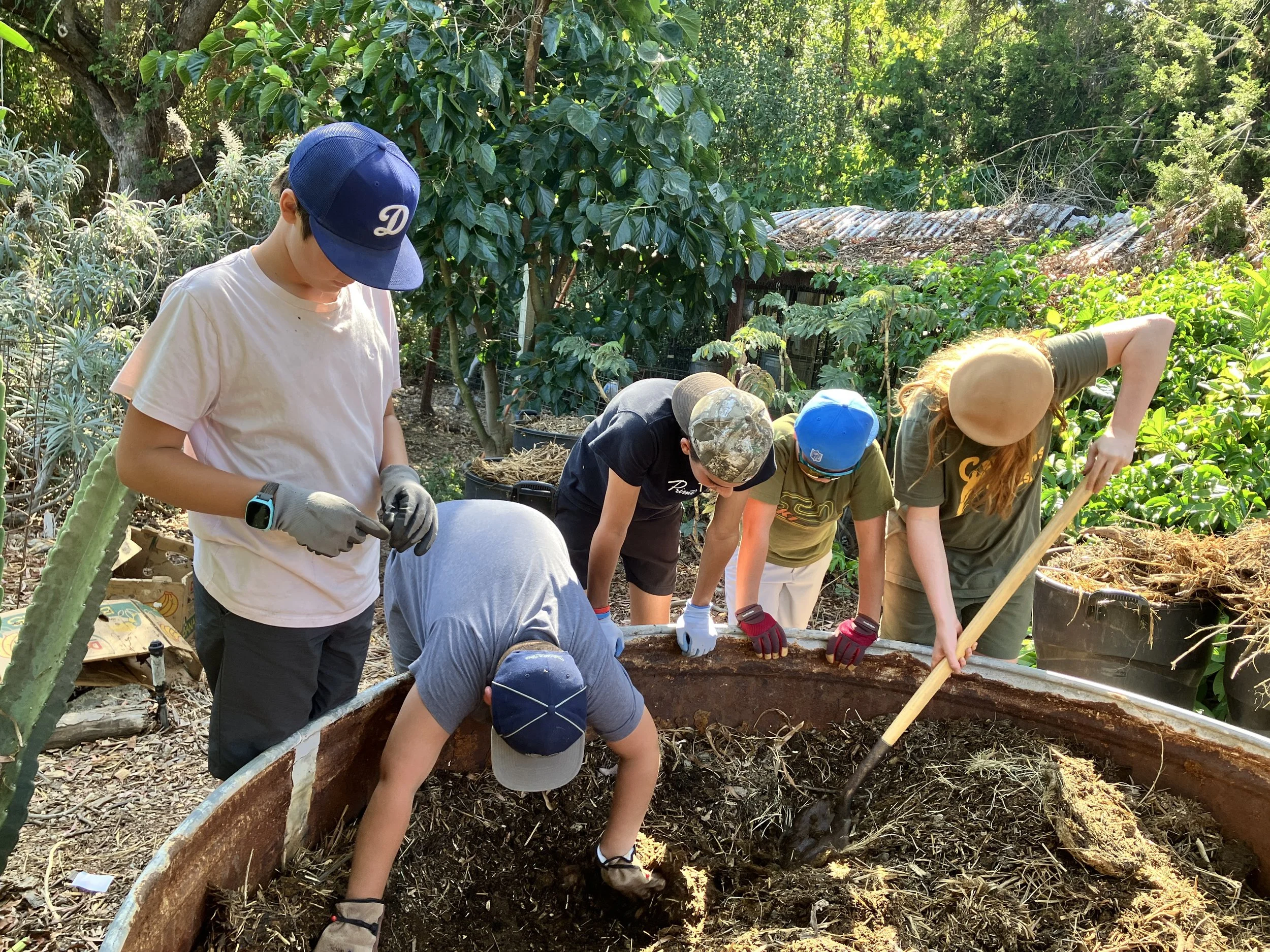 Harvesting grubs and roly-pollies for the fish