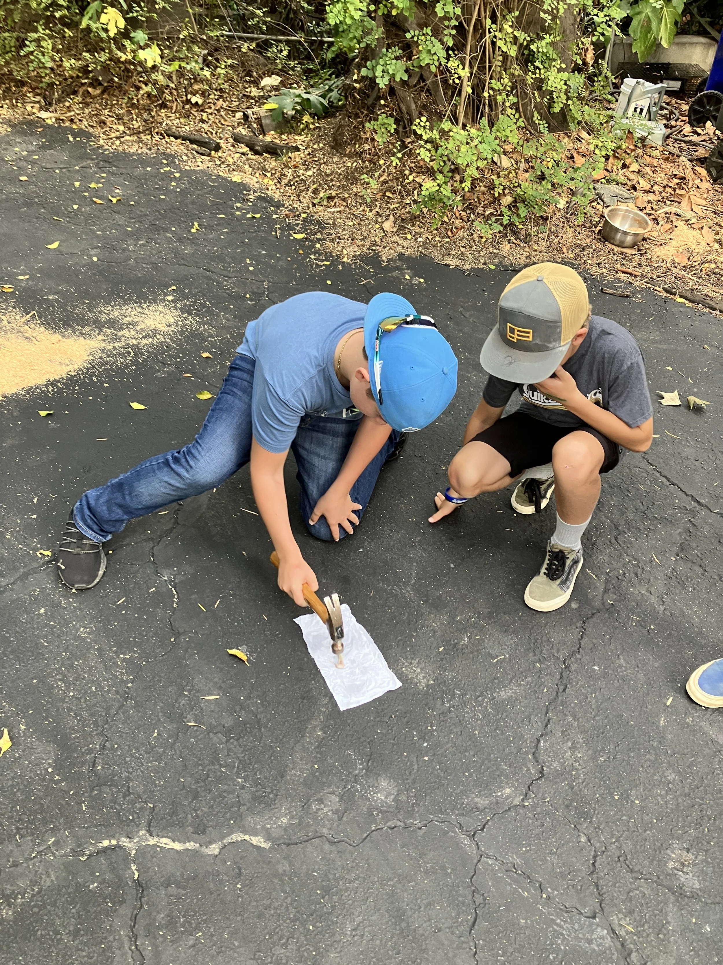 Bone study as part of Human Anatomy and Physiology