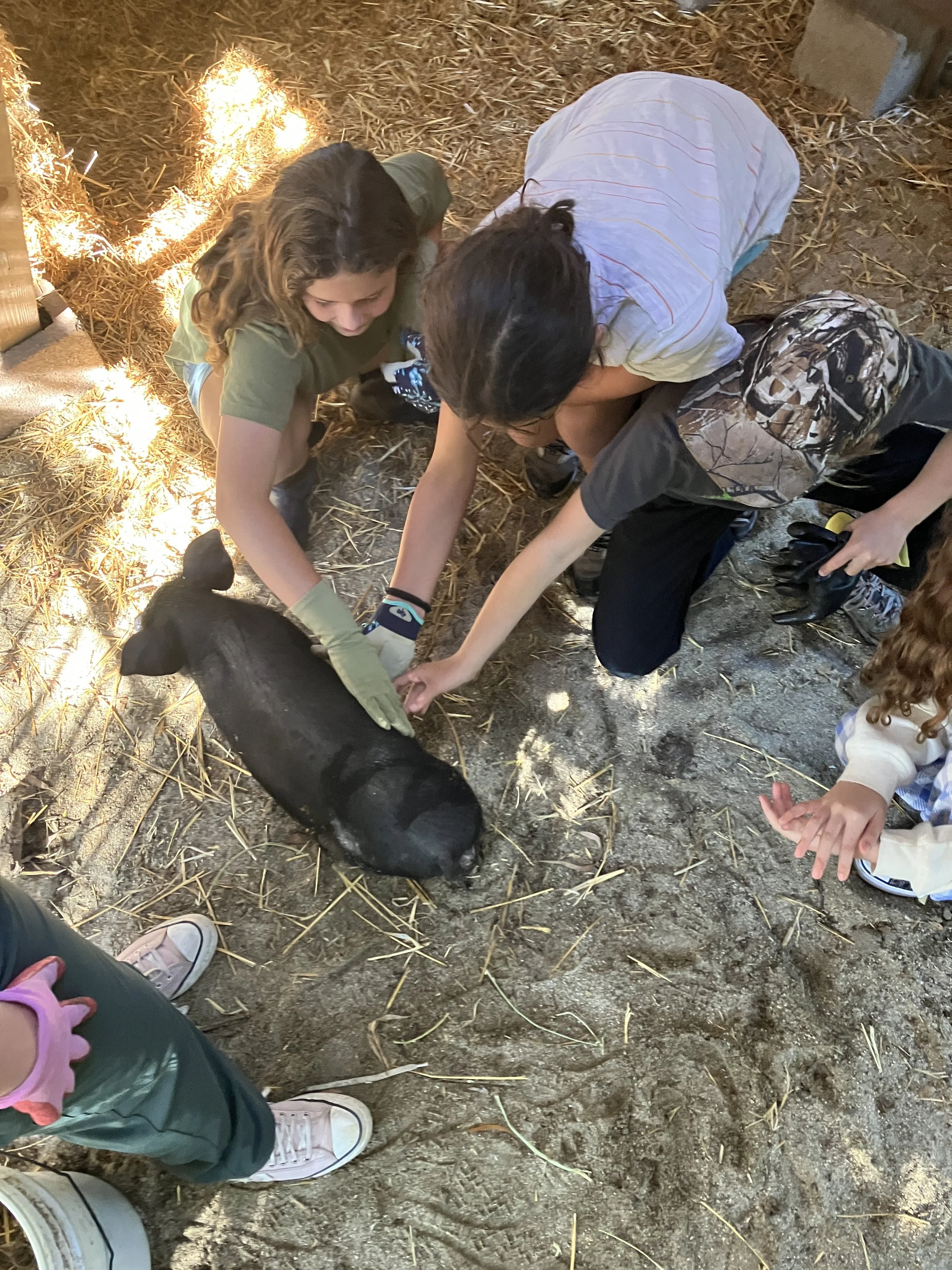 Nibbles at six weeks just 22 pounds