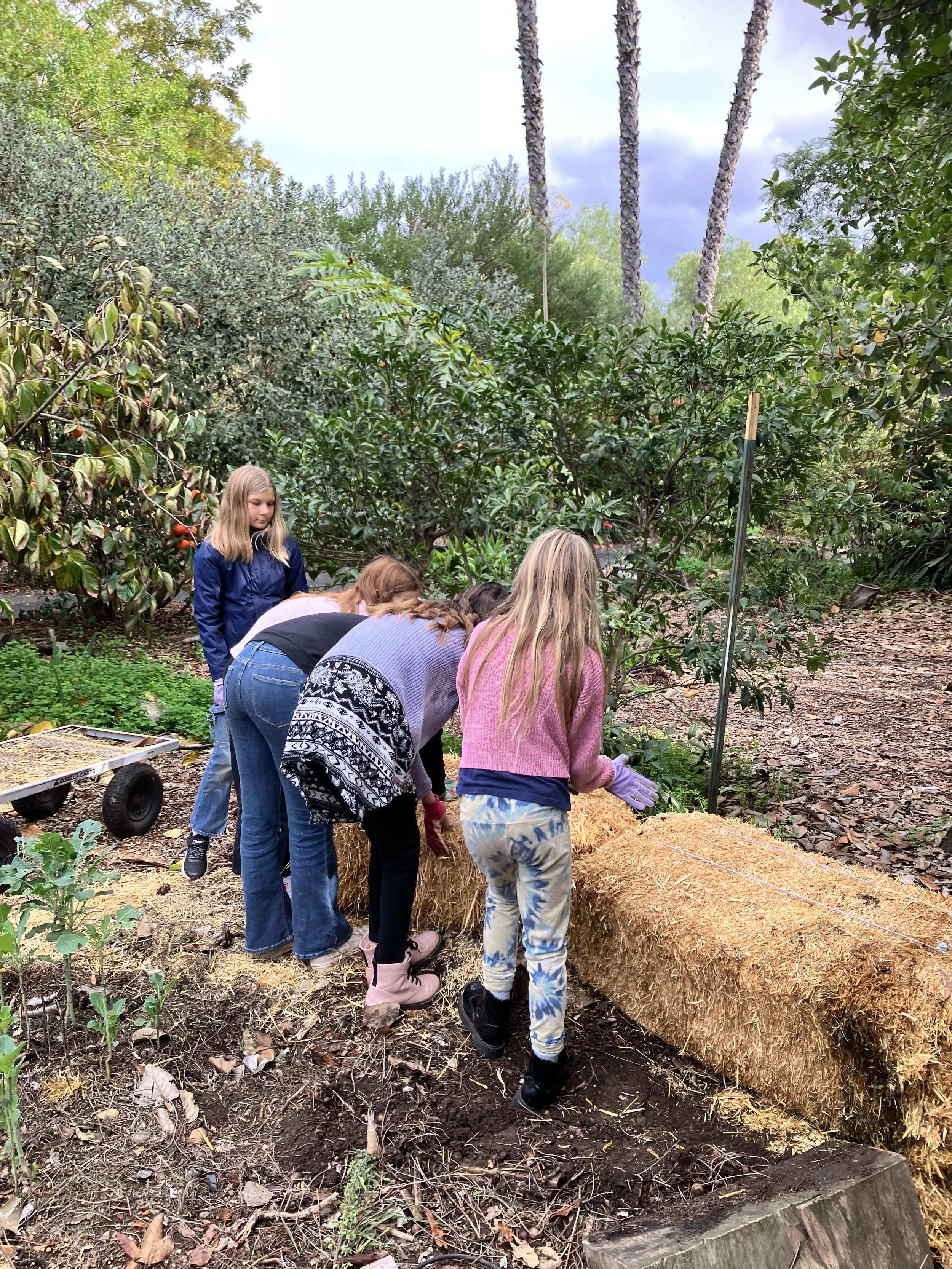 Straw bale gardening
