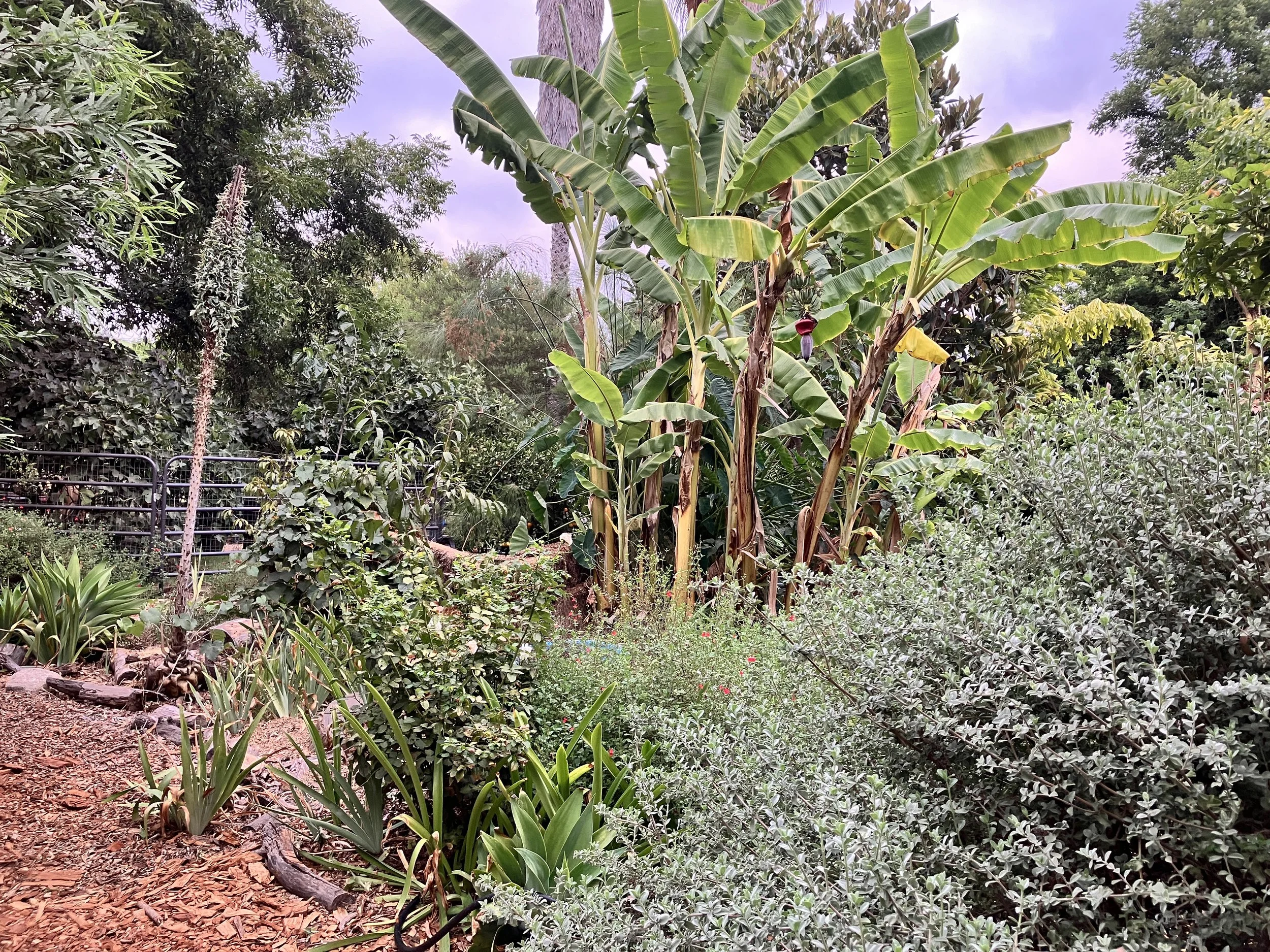 Lush quiet places to sit and ponder