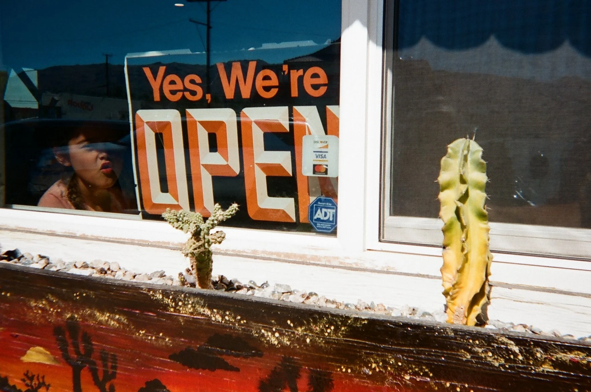 Joshua Tree, 2019