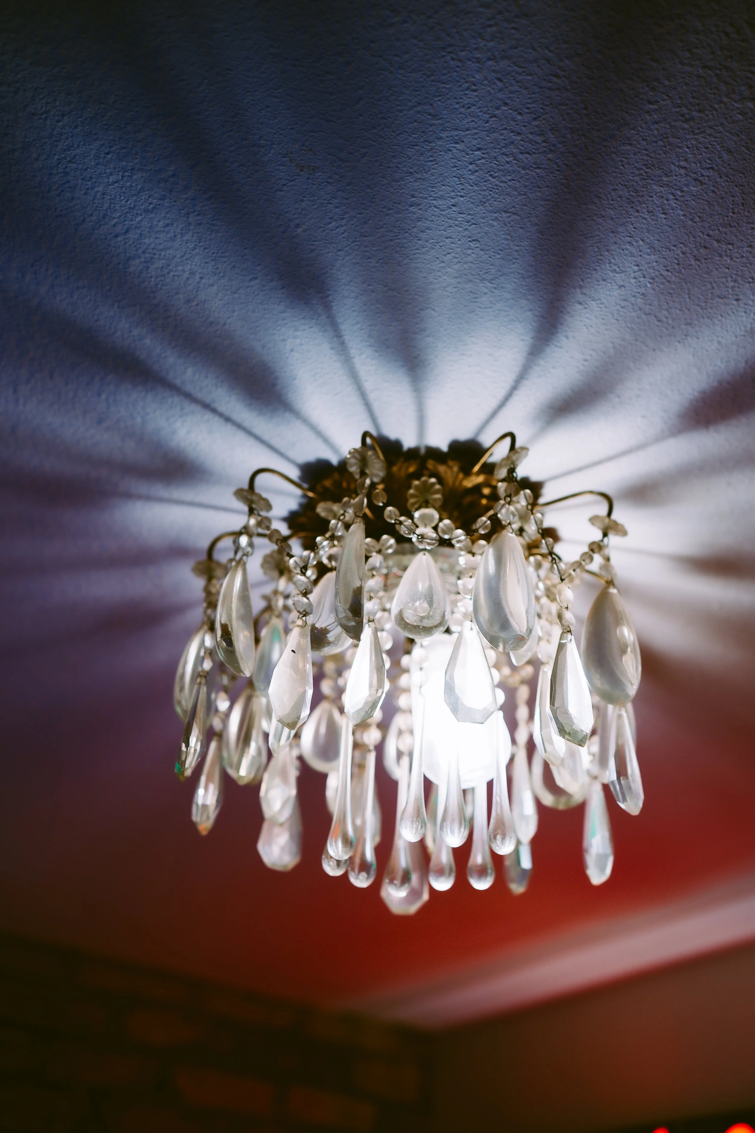 Photograph by Jackie Lee Young for Tribeza Magazine