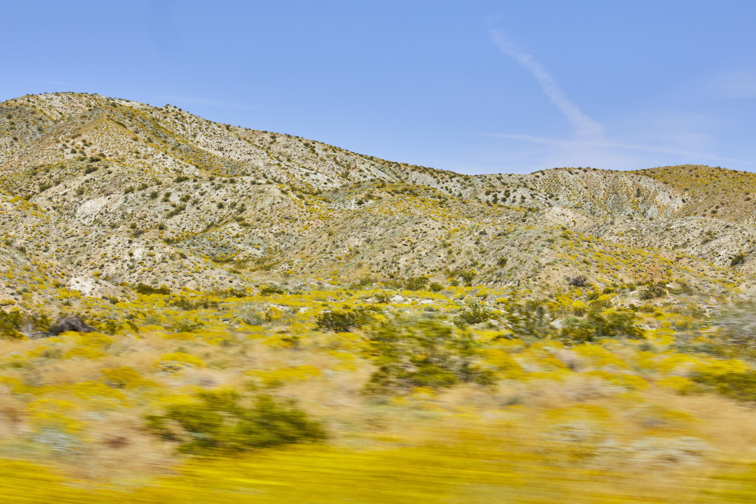 Landscapes — Heather Sommerfield