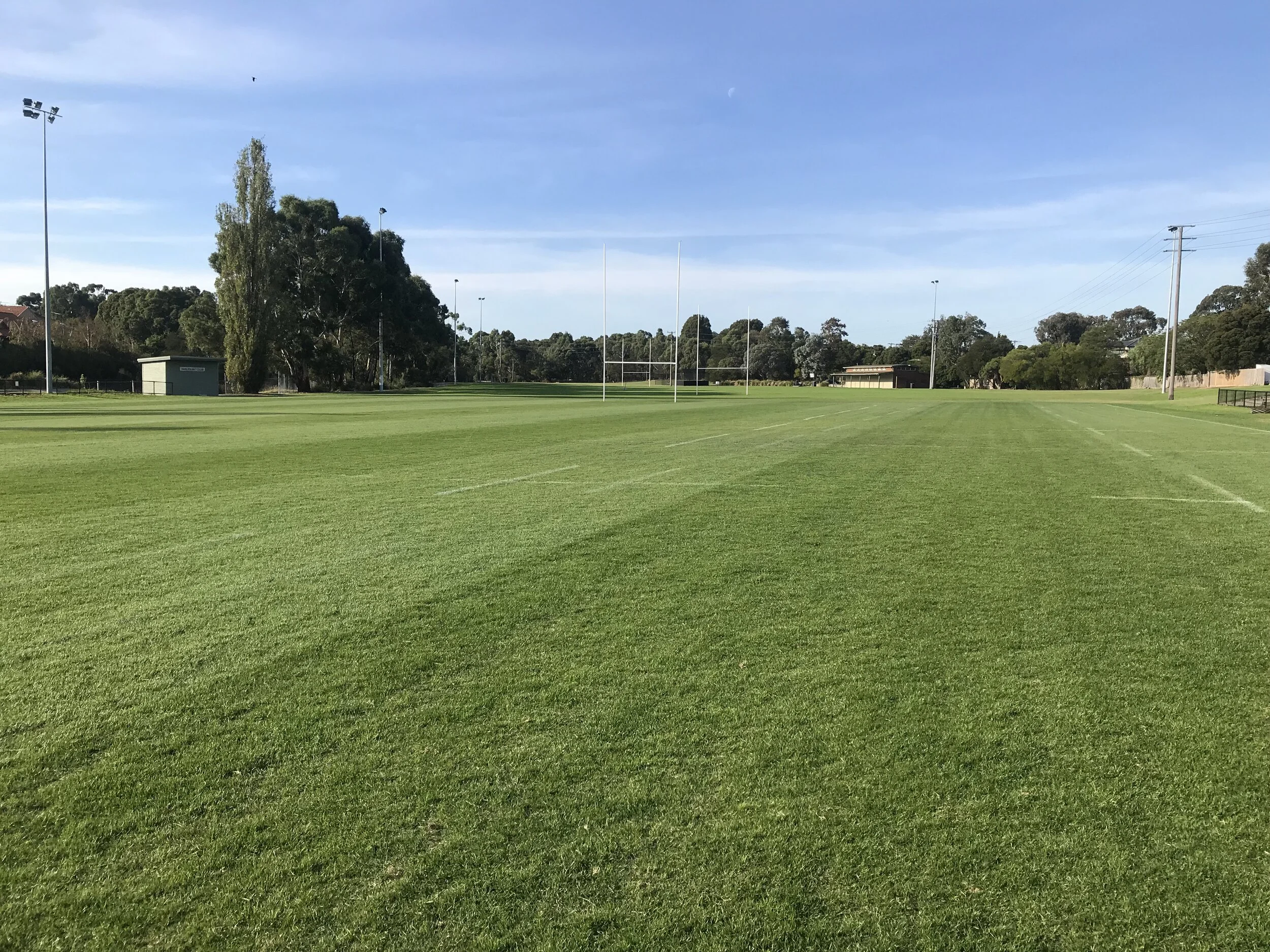 Curated visual reference: 1Kg Pure Kikuyu Seed Lawn Care Supplies Aus Icl Distributor Photo Inspiration