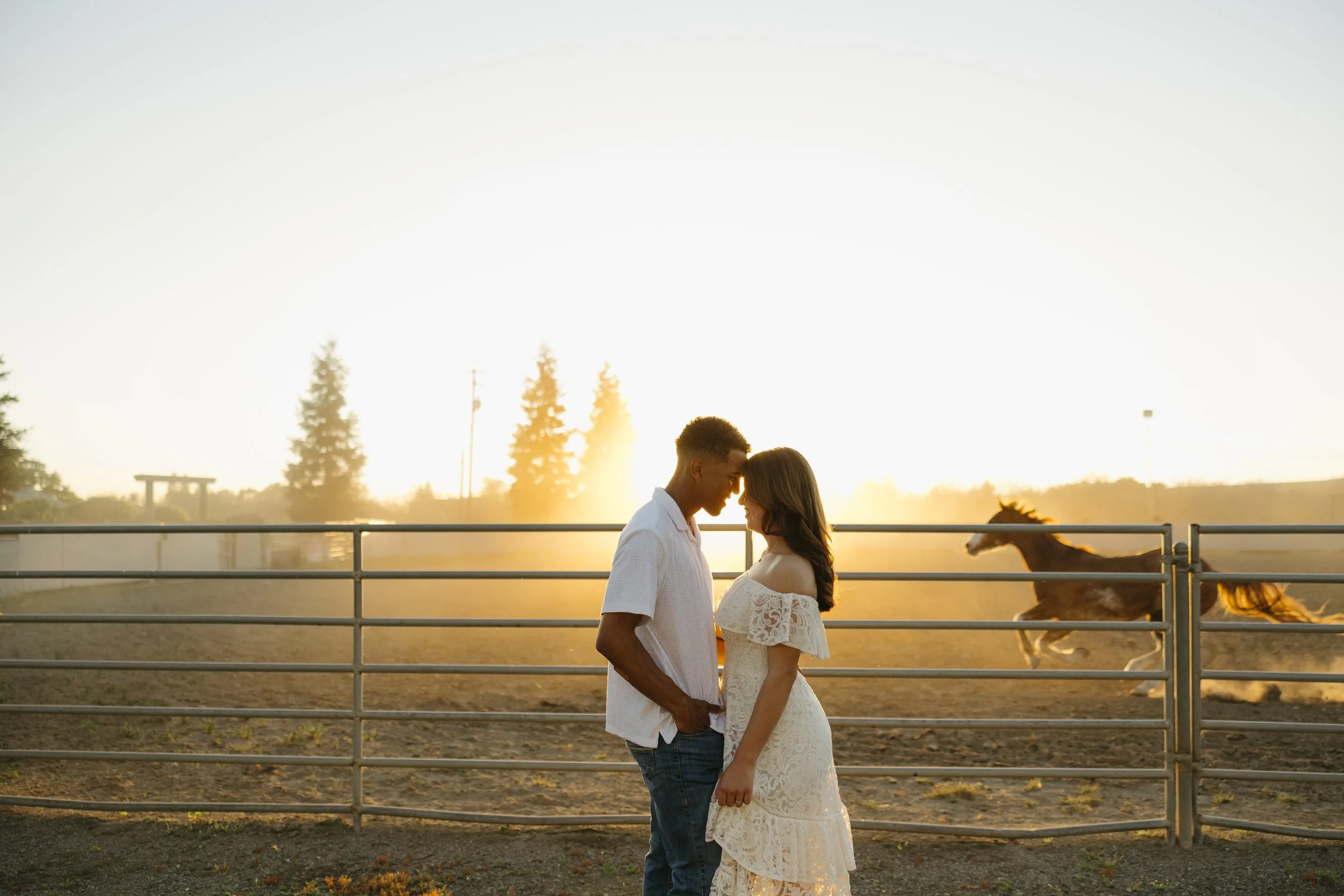 A couple face to face with their foreheads touching in front of a fence, with a horse running in the background during sunset.