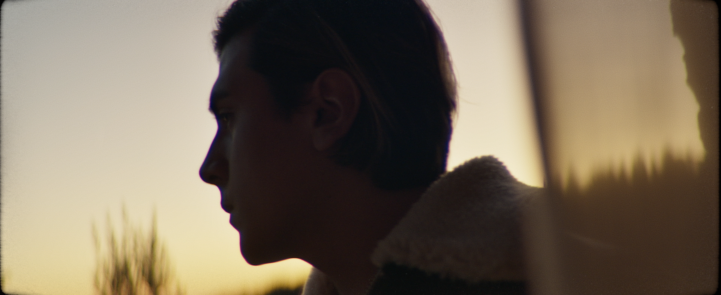 Screen Shot 2020-03-20 at 12.57.26 PM.png