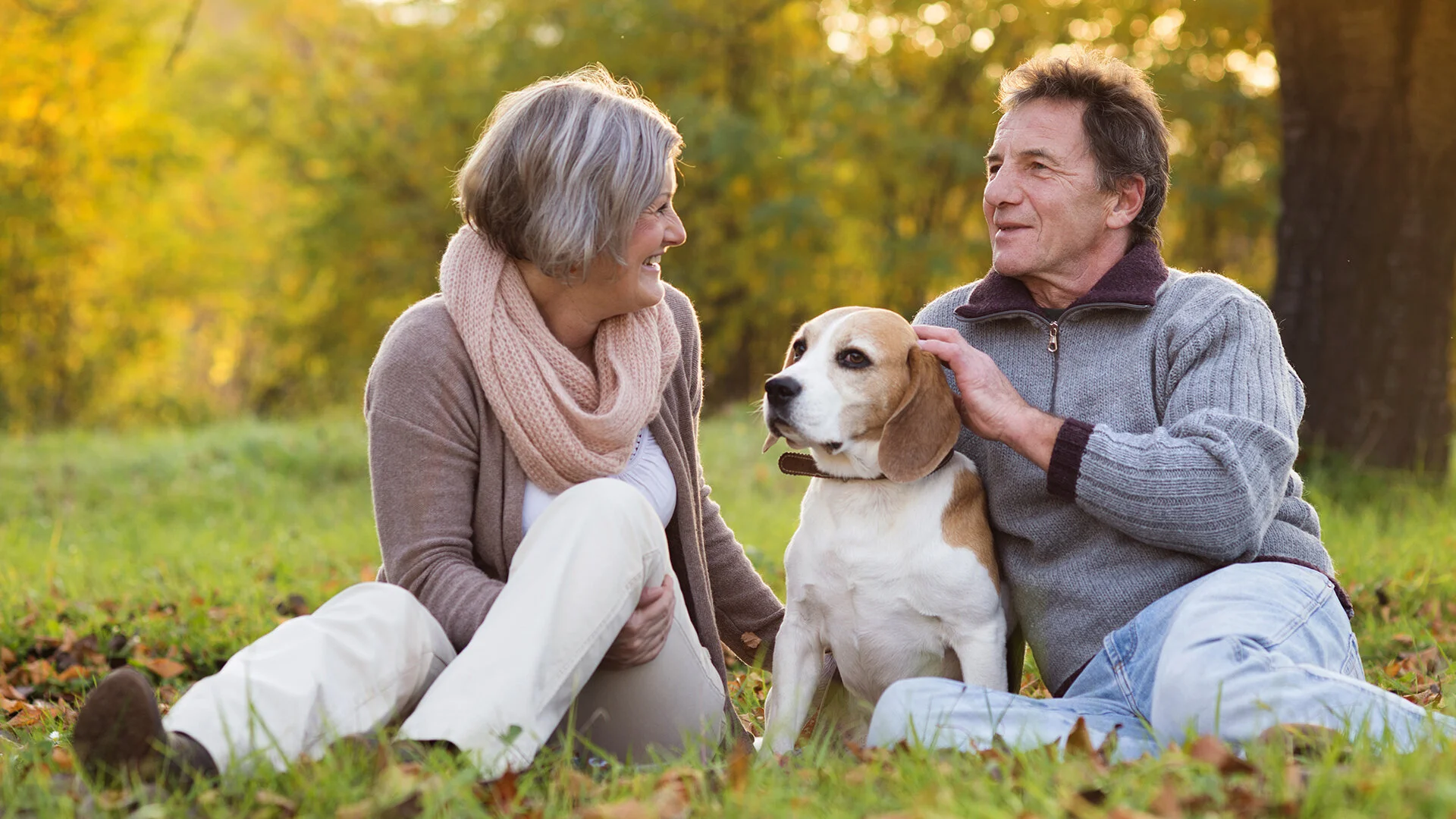 A world of opportunity in 10 hectares