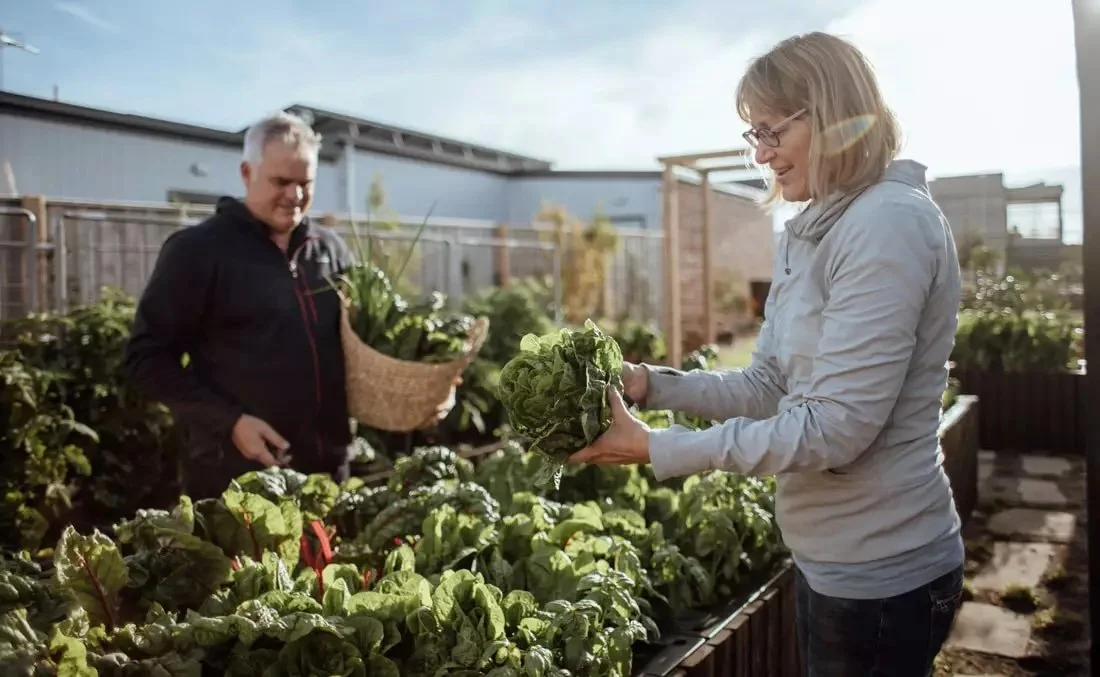 Plans for Tasmania's largest urban farm part of showgrounds development