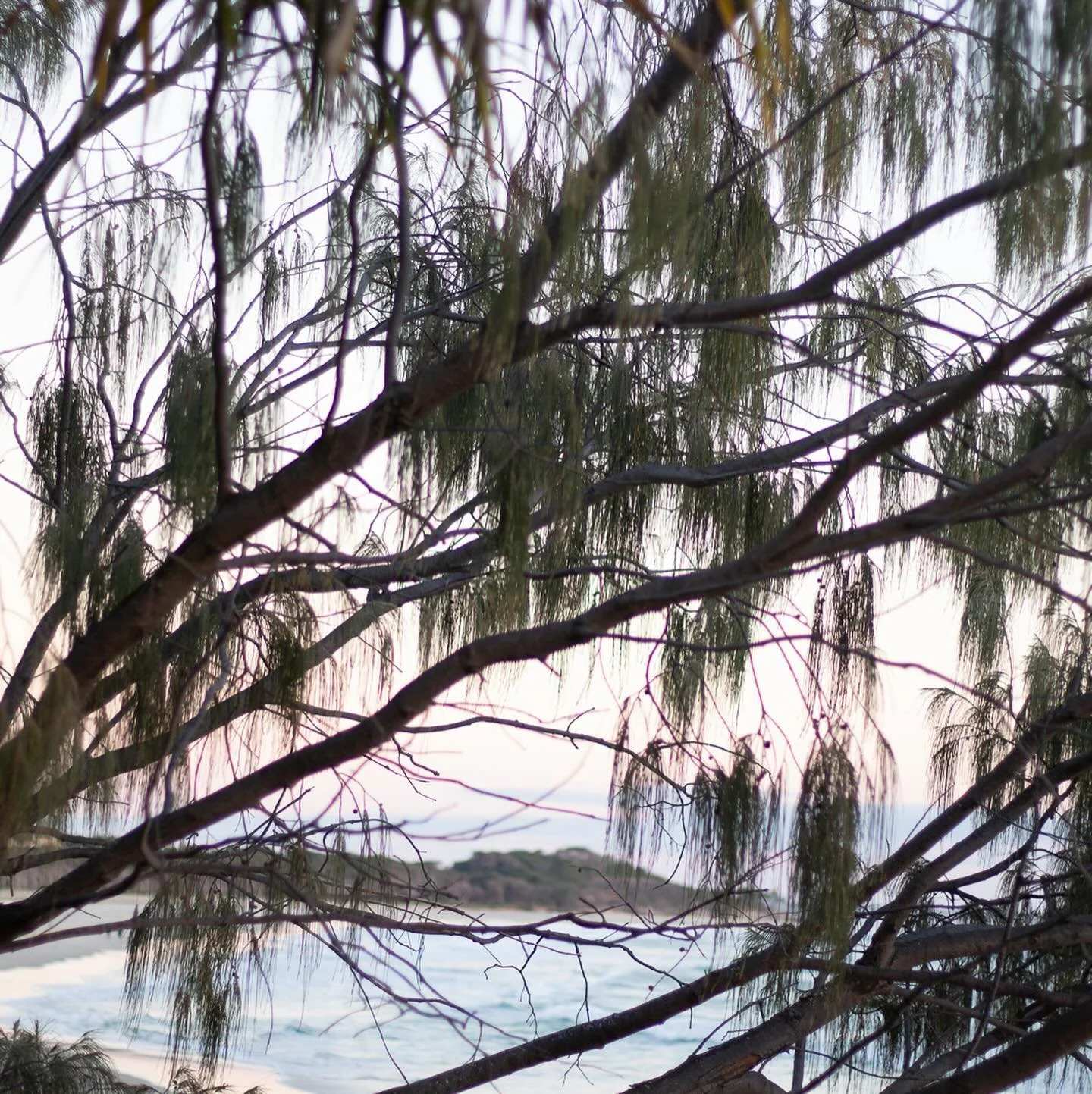 Trying to recreate the colours in the first pic.

#art #artcollection #artcollector #artistic #artsy #artofinstagram #artoftheday #artofphotography #northstradbrokeisland #southeastqueensland #southeastqld #queensland