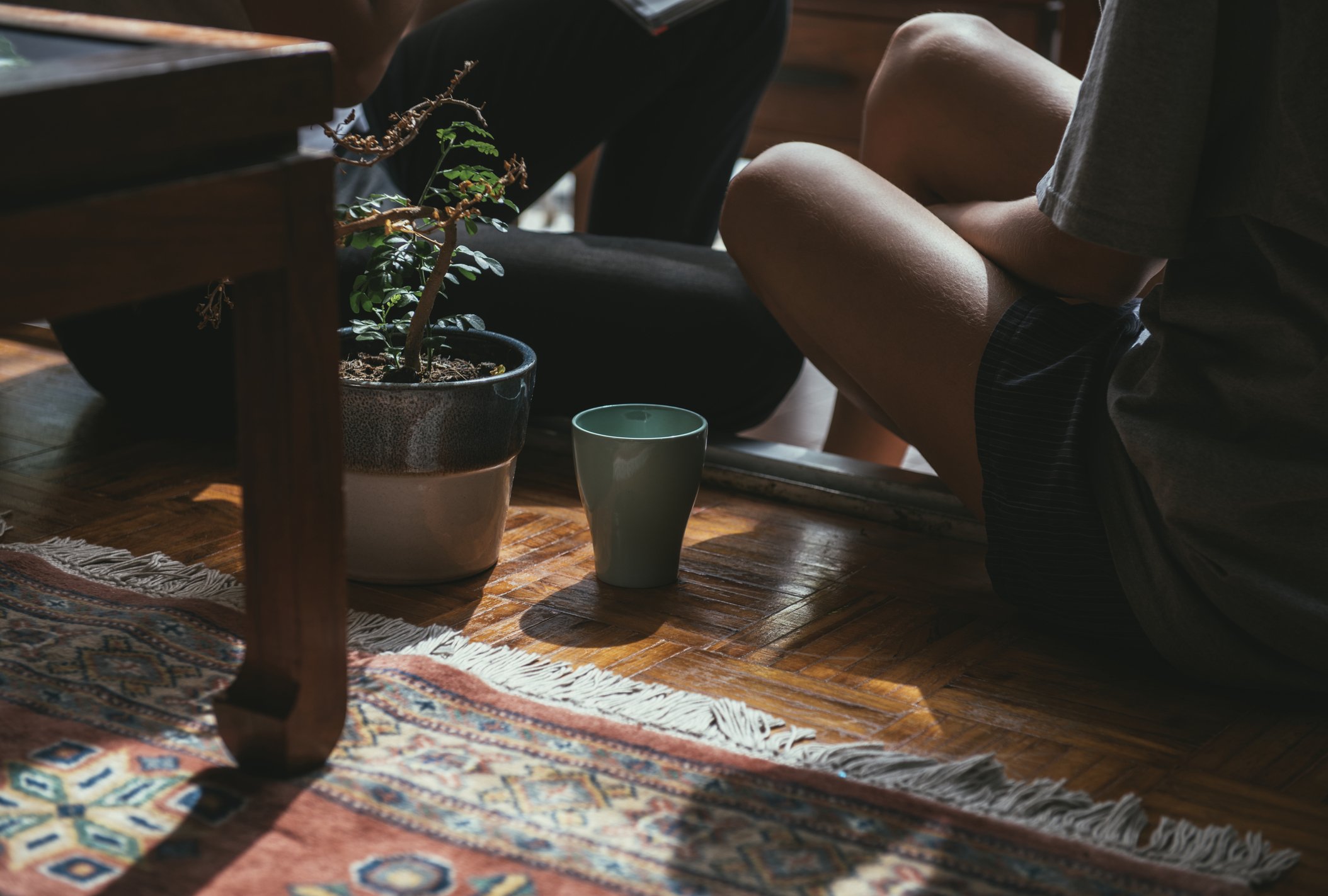 People sitting on the floor under a table, with a potted plant and a cup nearby, in a cozy indoor setting.