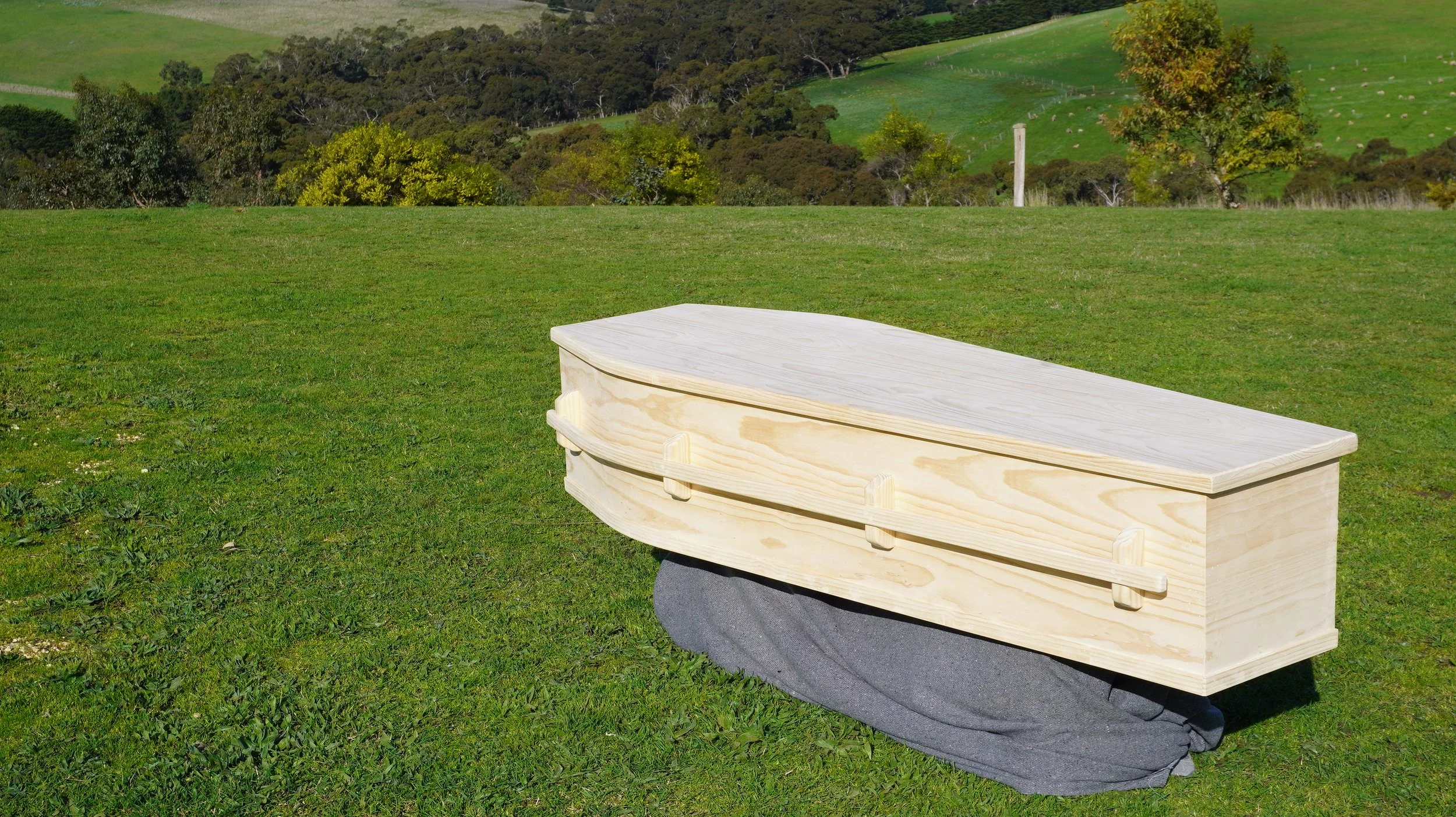 4_LongBar_pine_coffin.JPG
