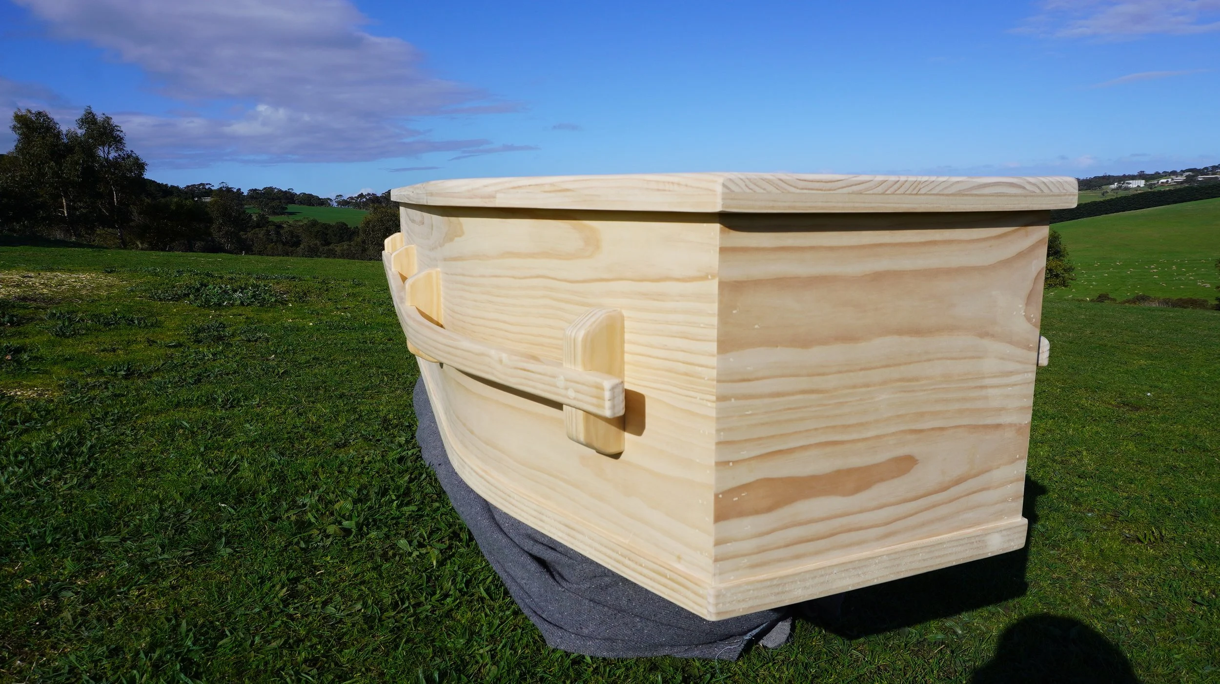 3_LongBar_pine_coffin.JPG