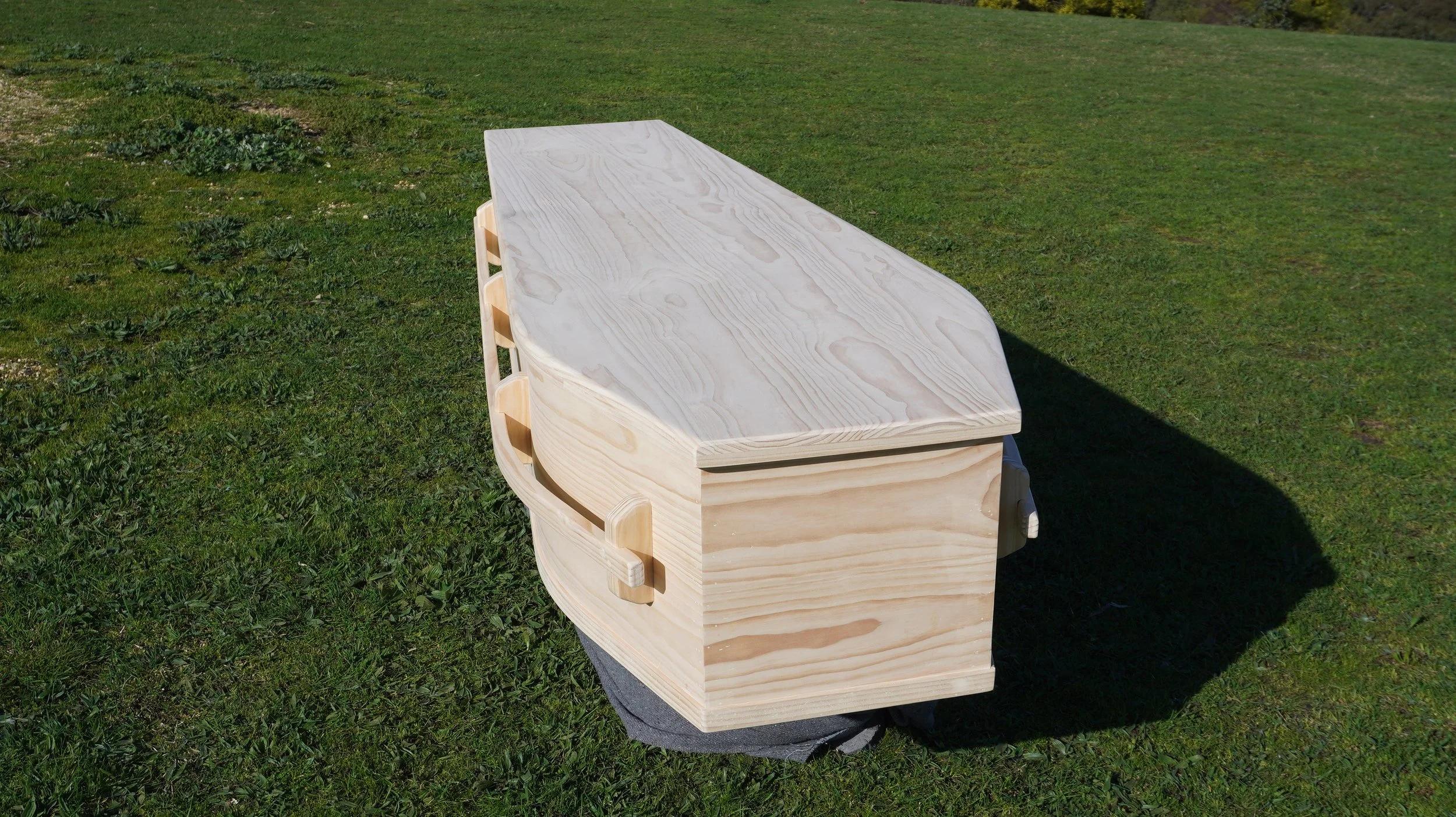 1_LongBar_pine_coffin.JPG