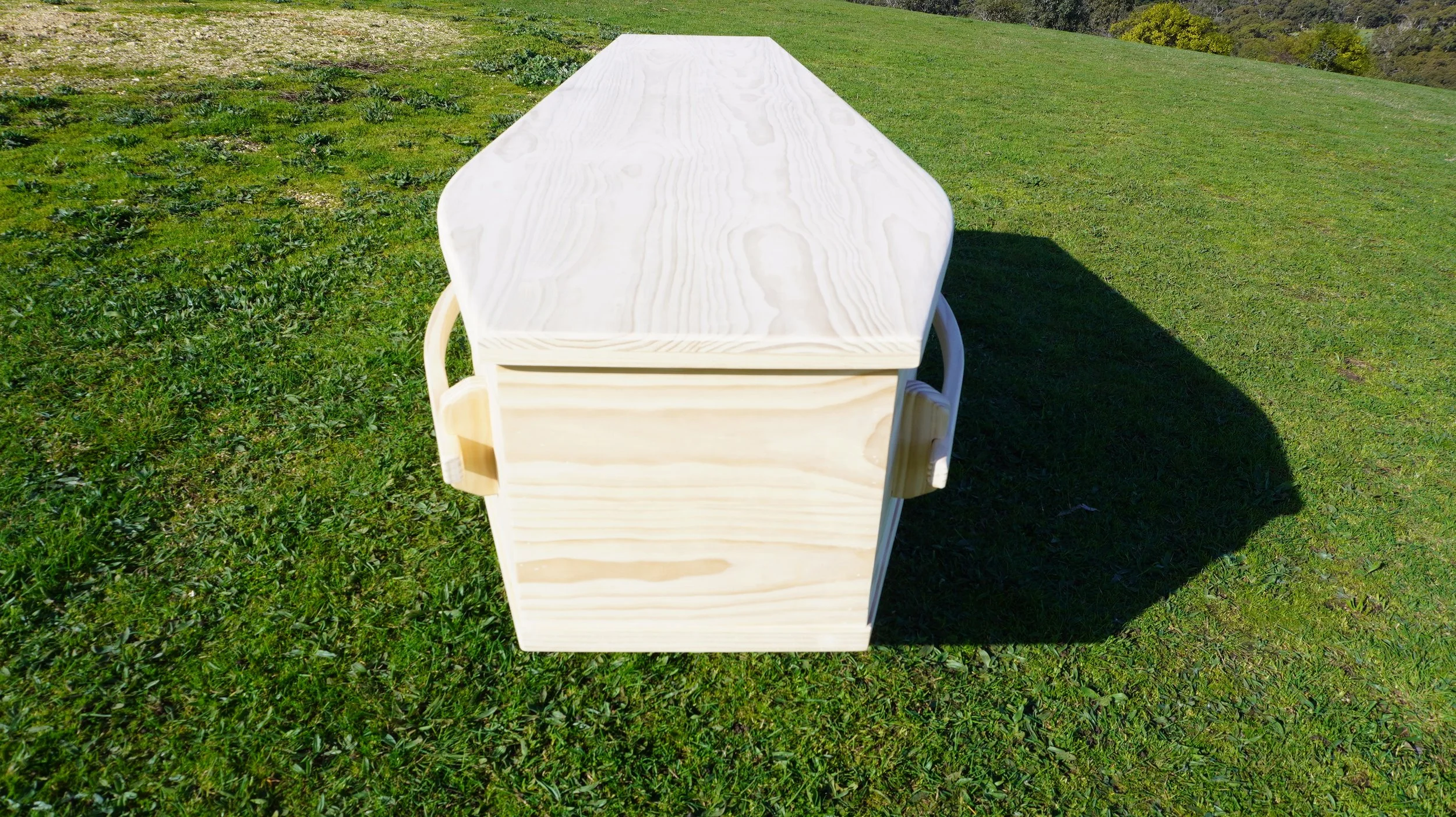 2_LongBar_pine_coffin.JPG