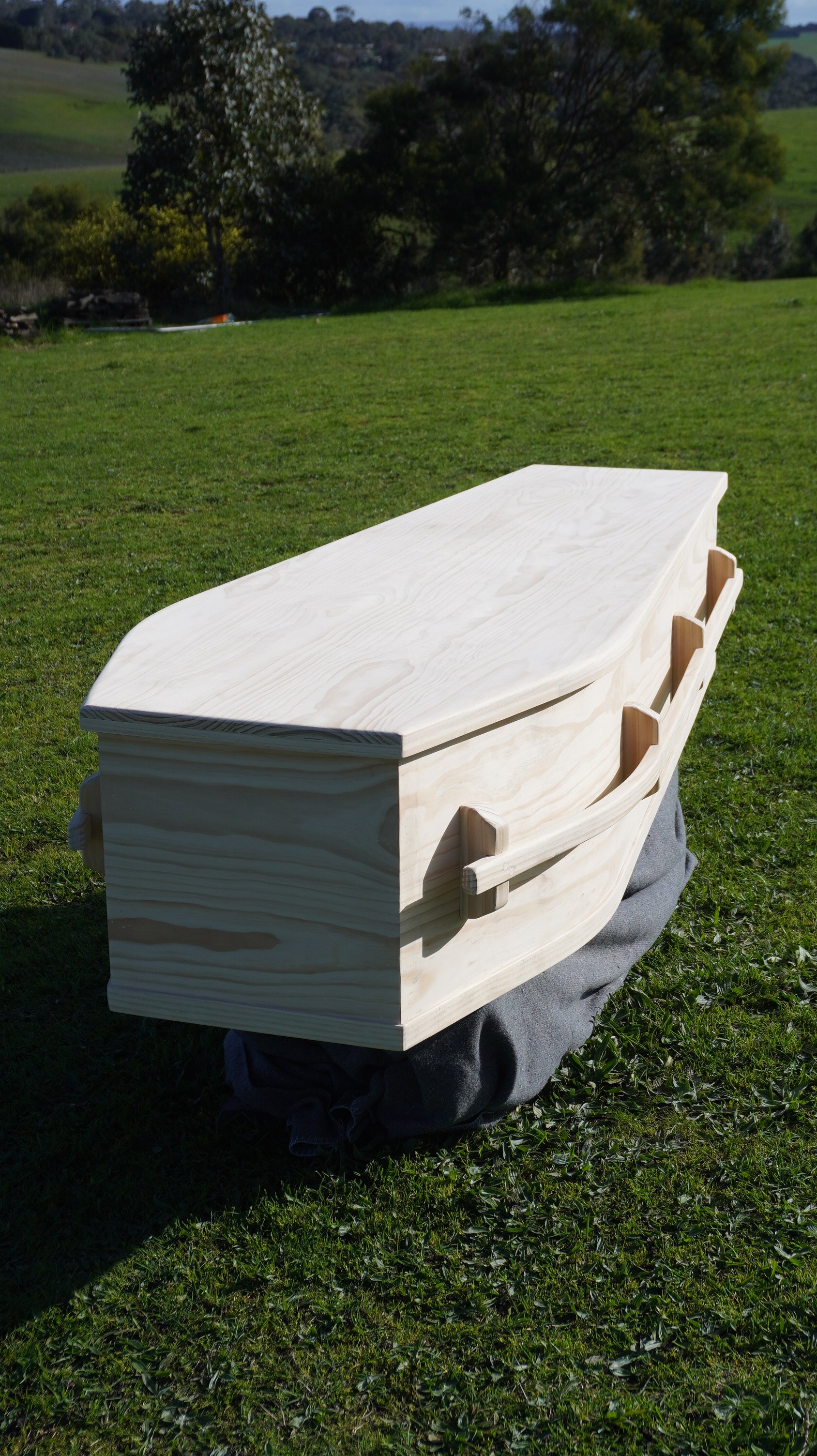 Longbar_pine_coffin3.JPG