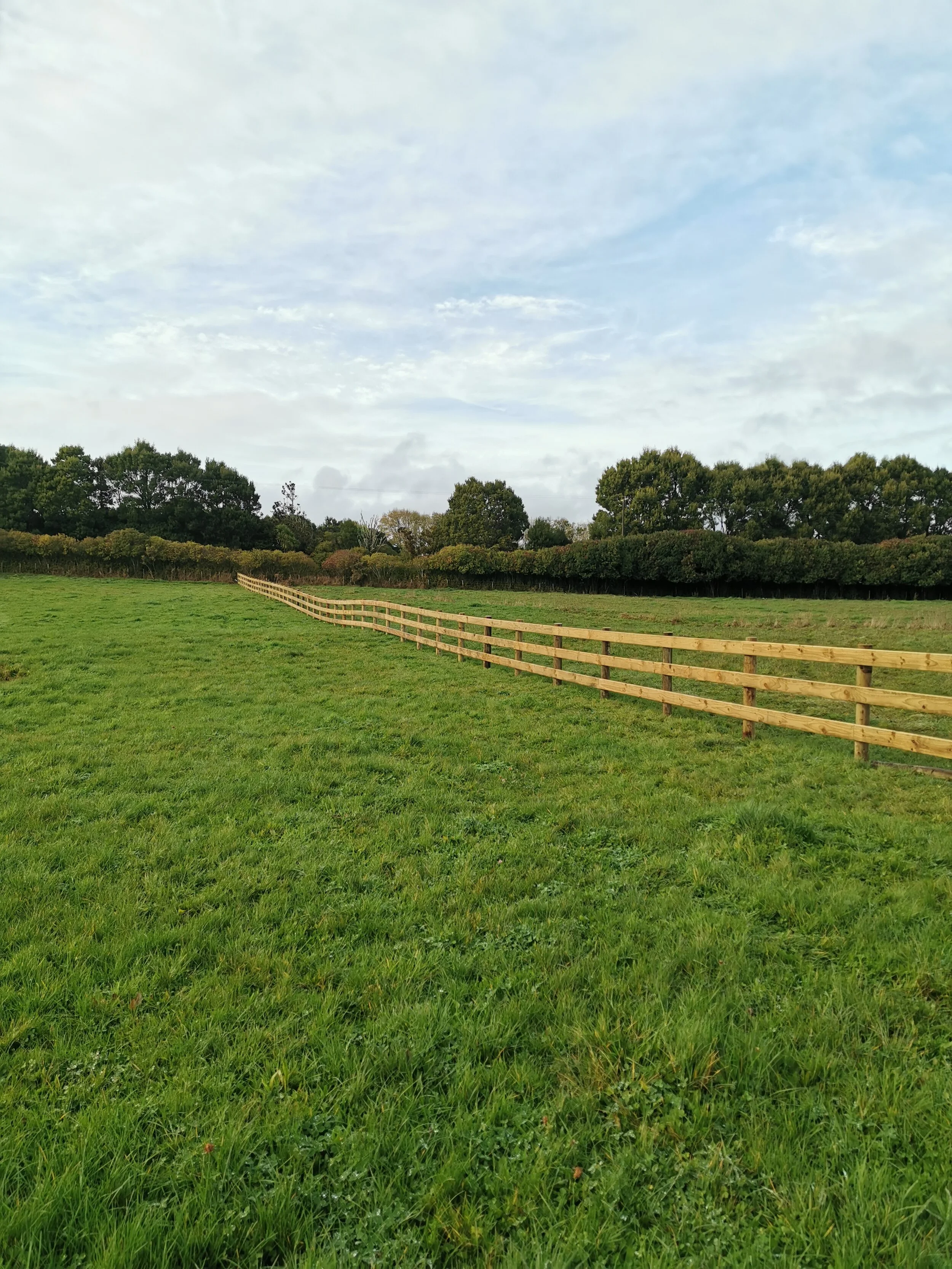 Post and Rail Fencing 1