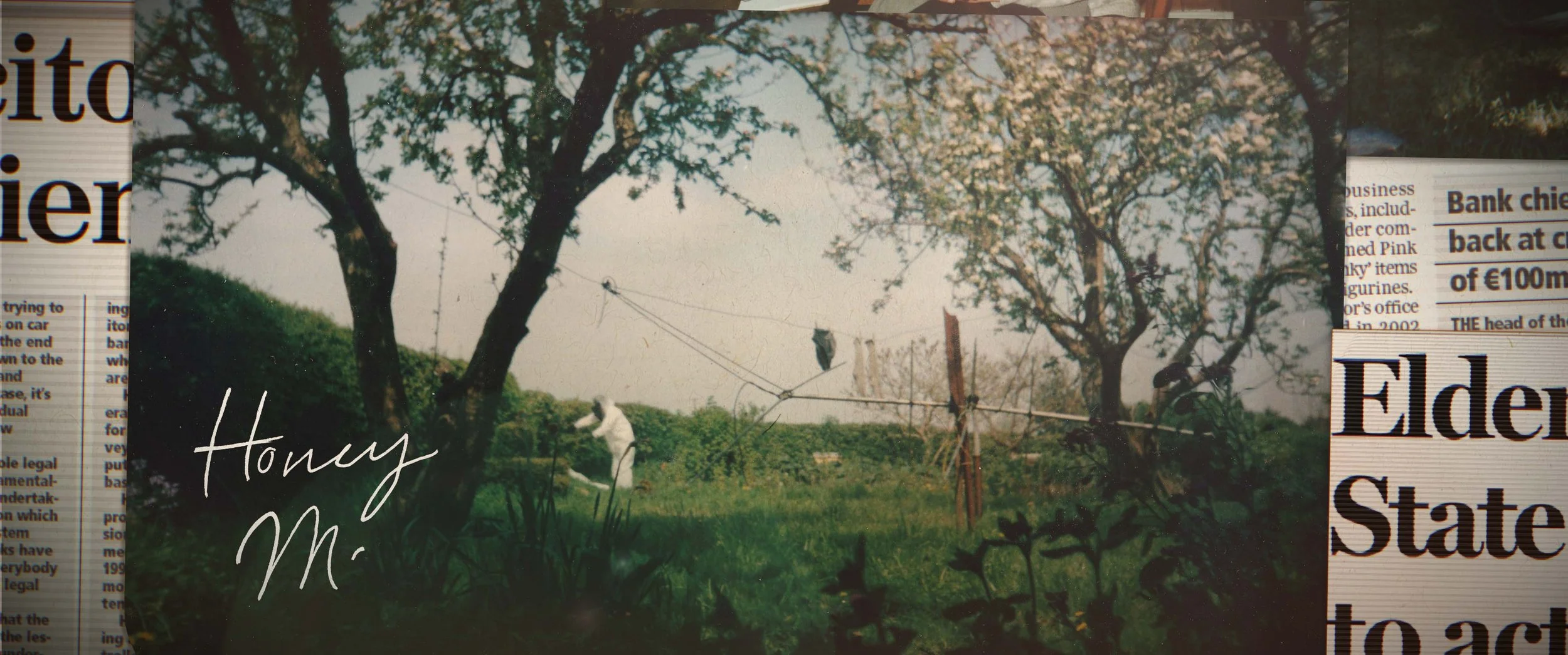 STILL 3.jpg