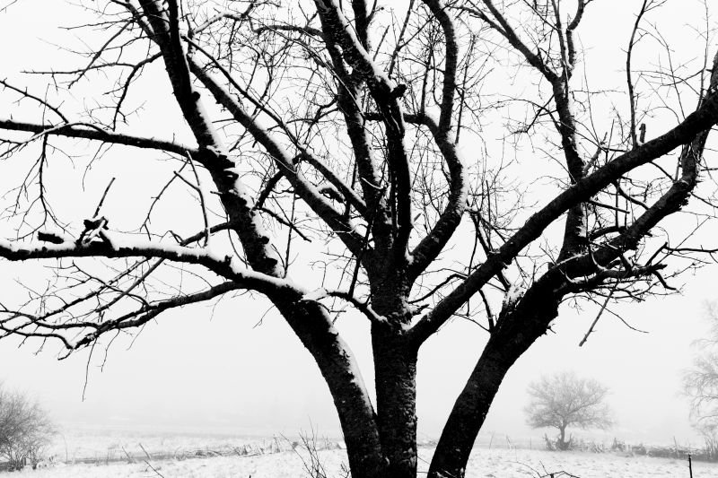 Cold and Stark
