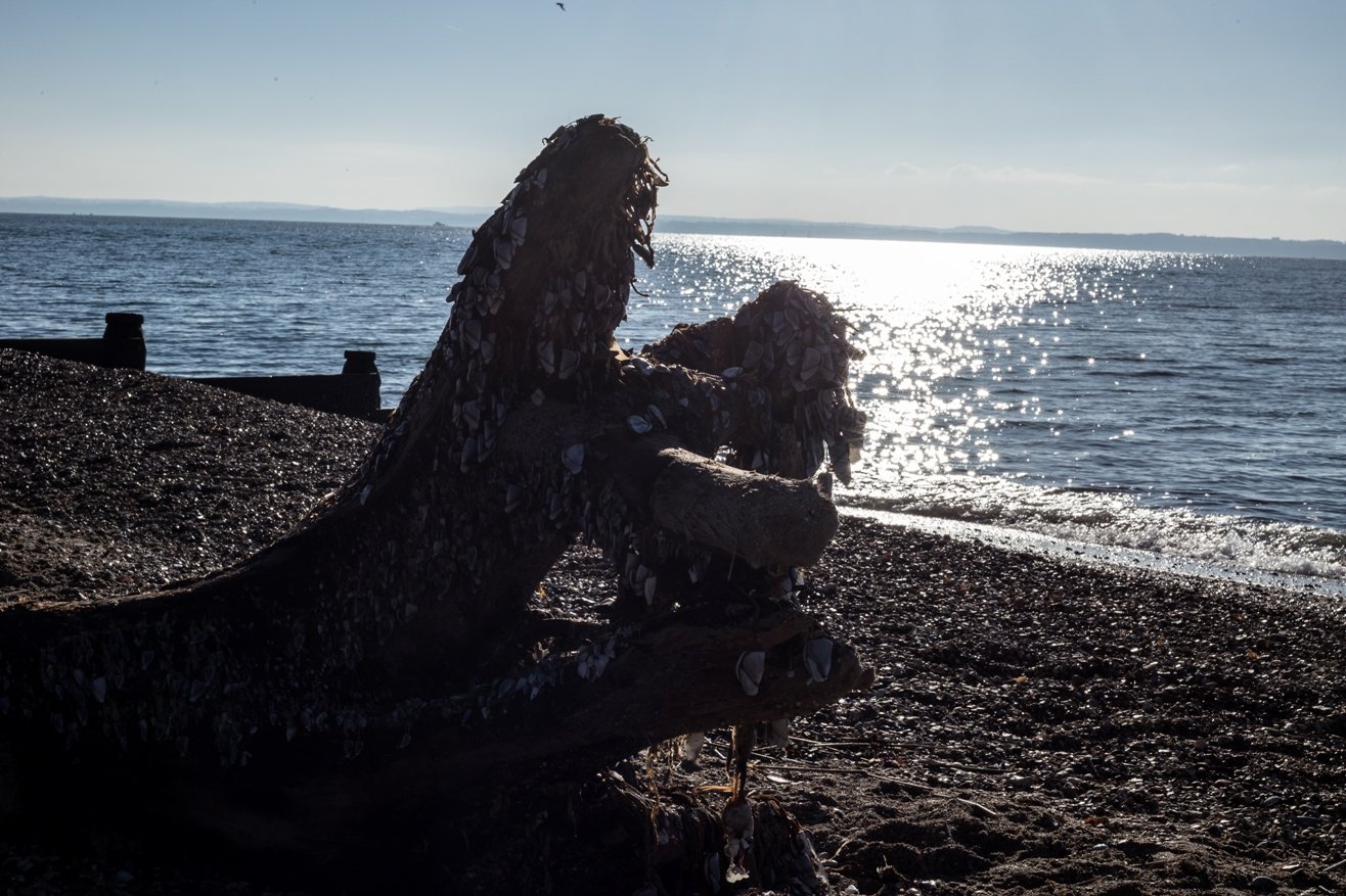 Along the Solent