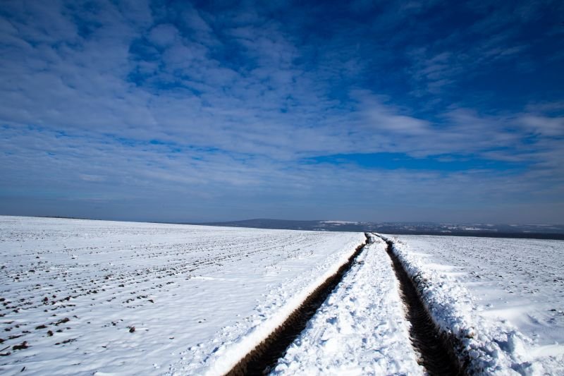 Track Through the Snow - I