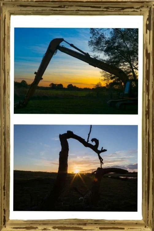 Digger and Tree at Sunset