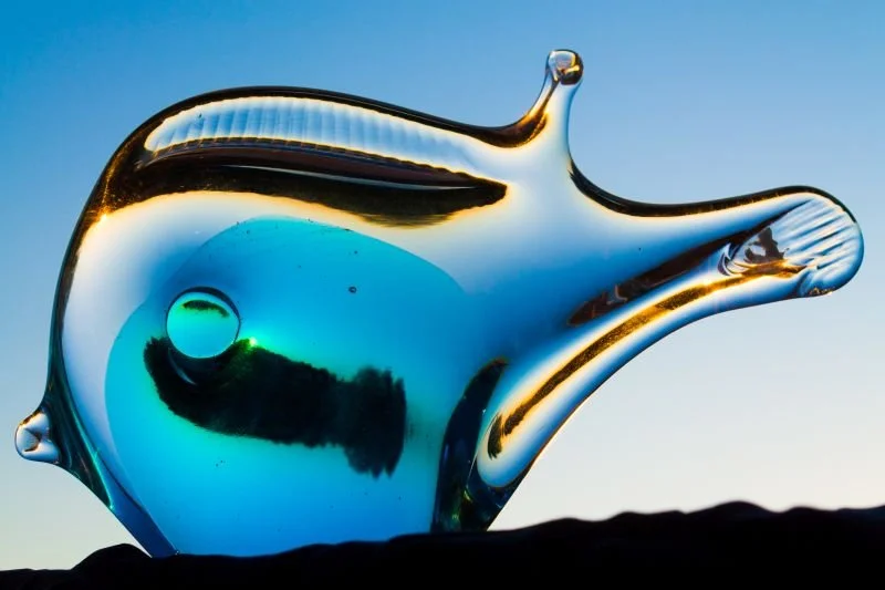 Glass Fish