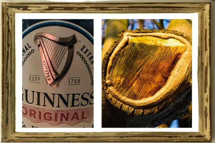 Irish Harps