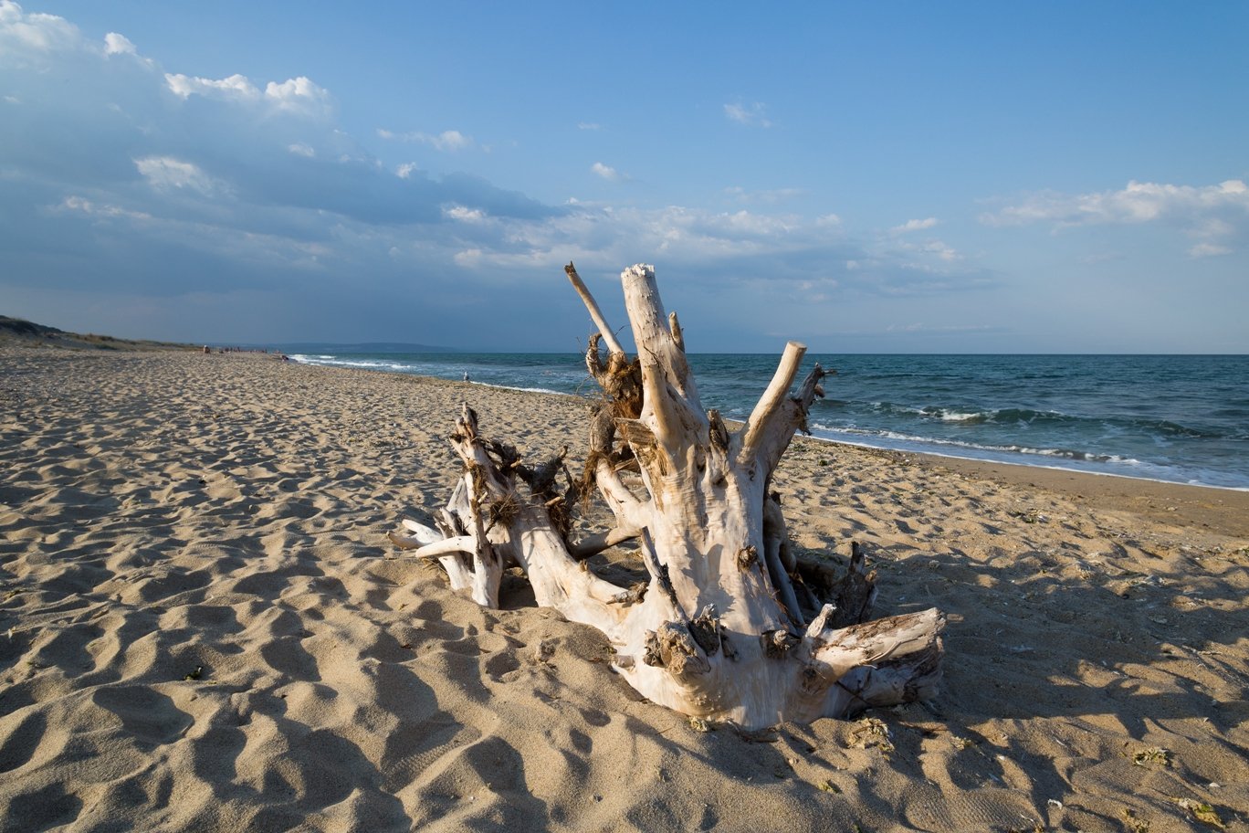Black Sea - I