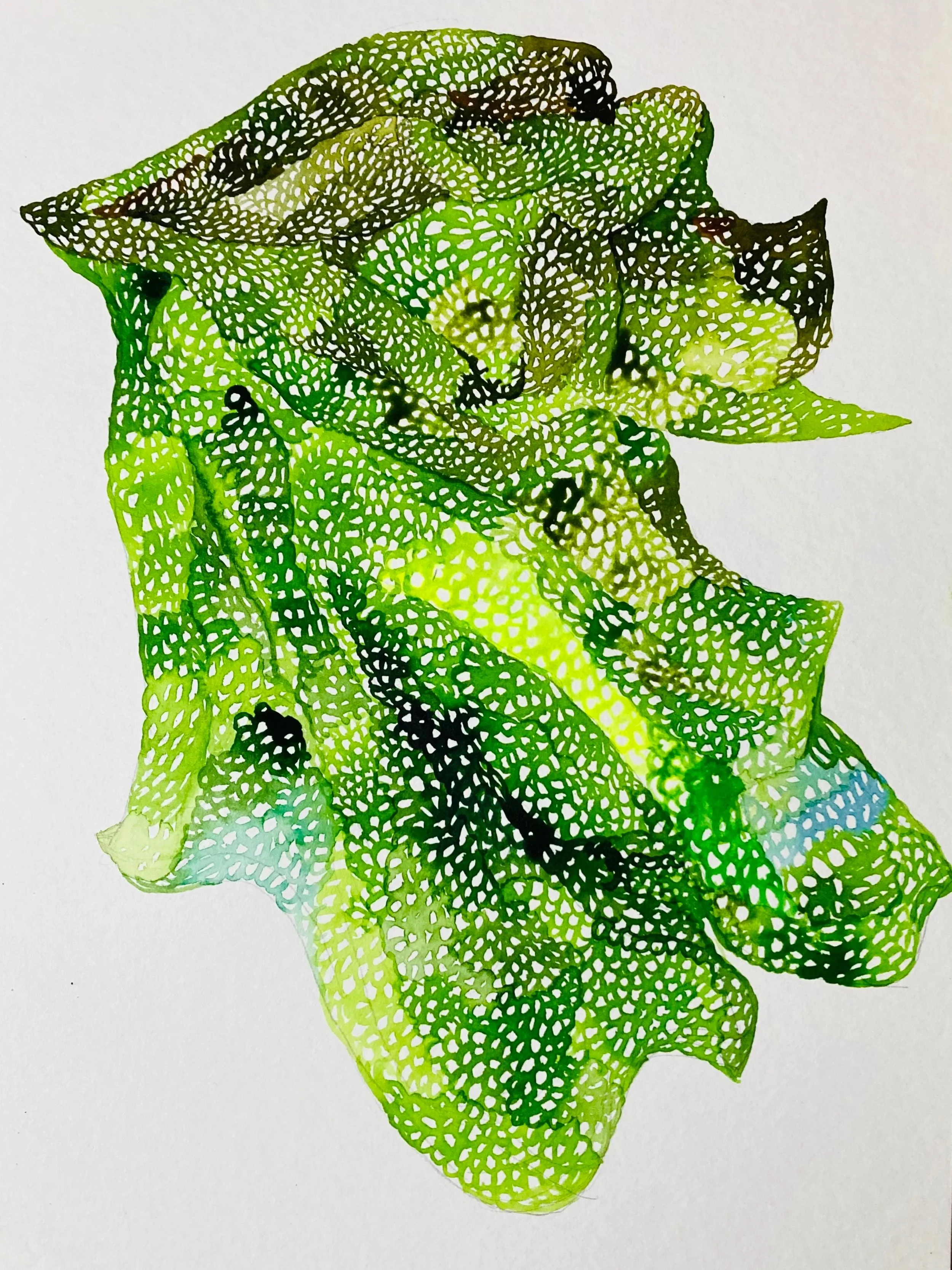 Fold