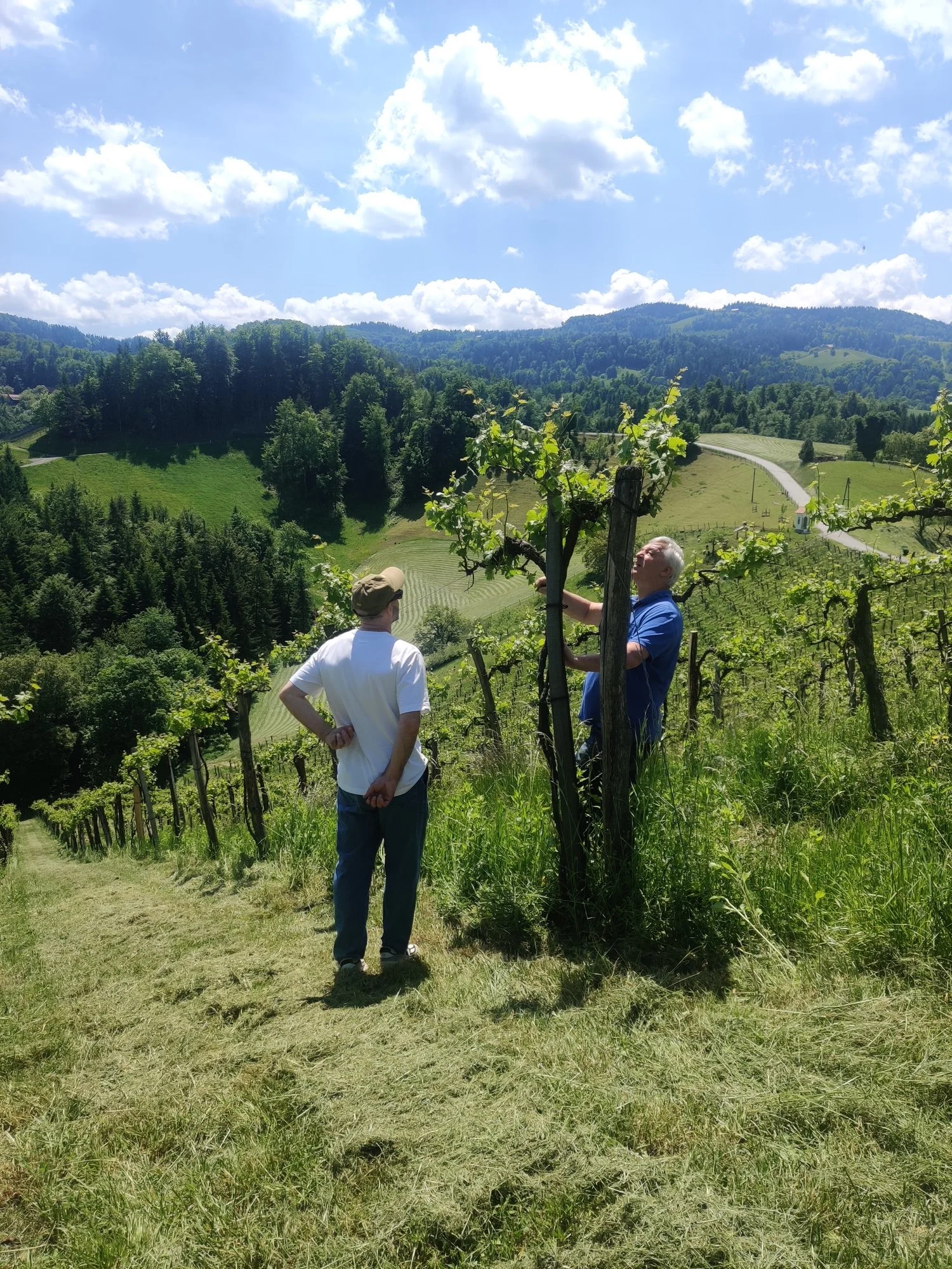 A wine makers soirée with Sepp Muster