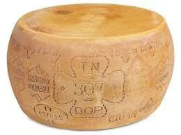 Trentingrana forma intera.jpeg