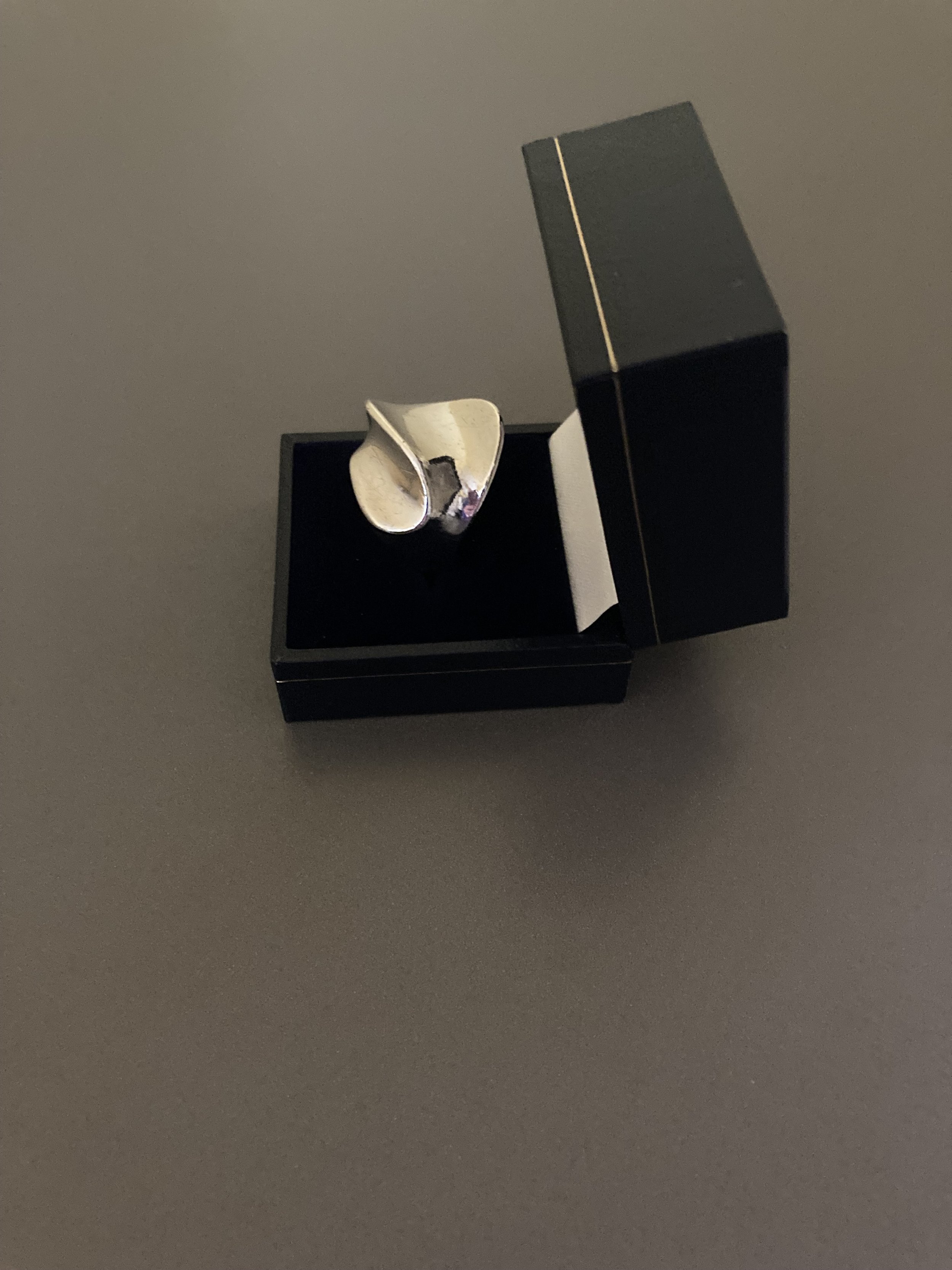 Ring EWK 2.jpg